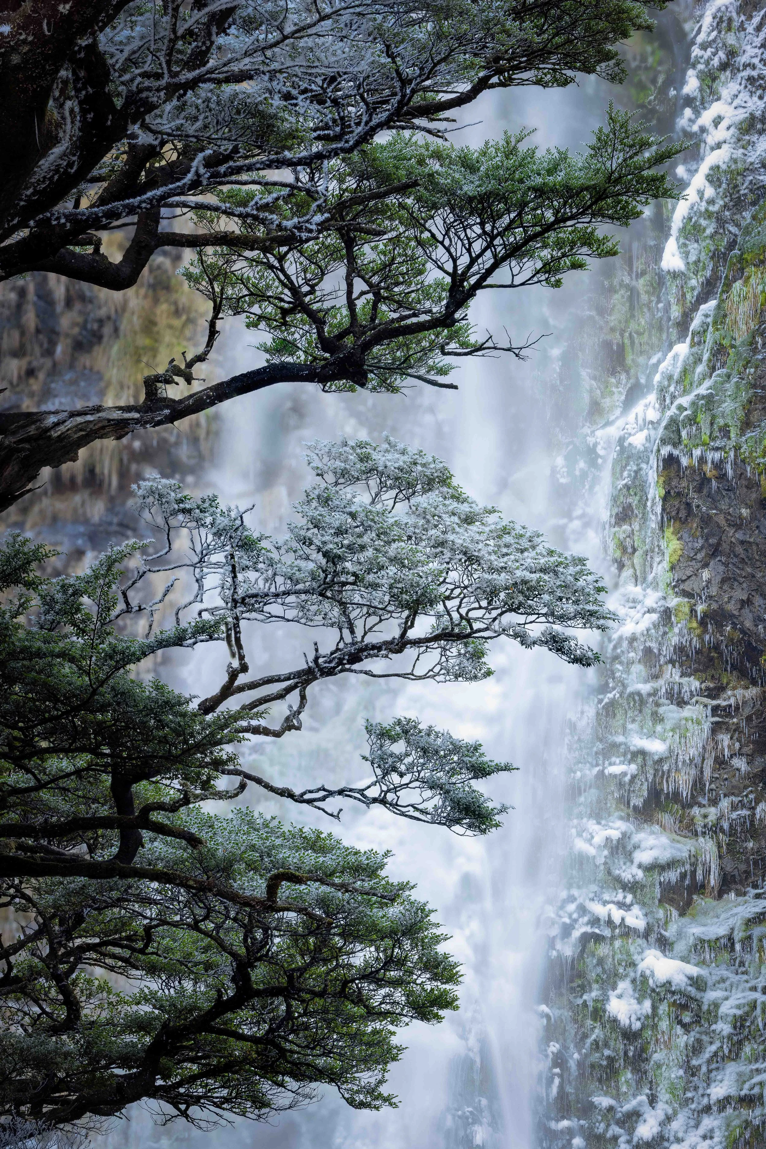 Devils Punchbowl Waterfall Hoar Frost