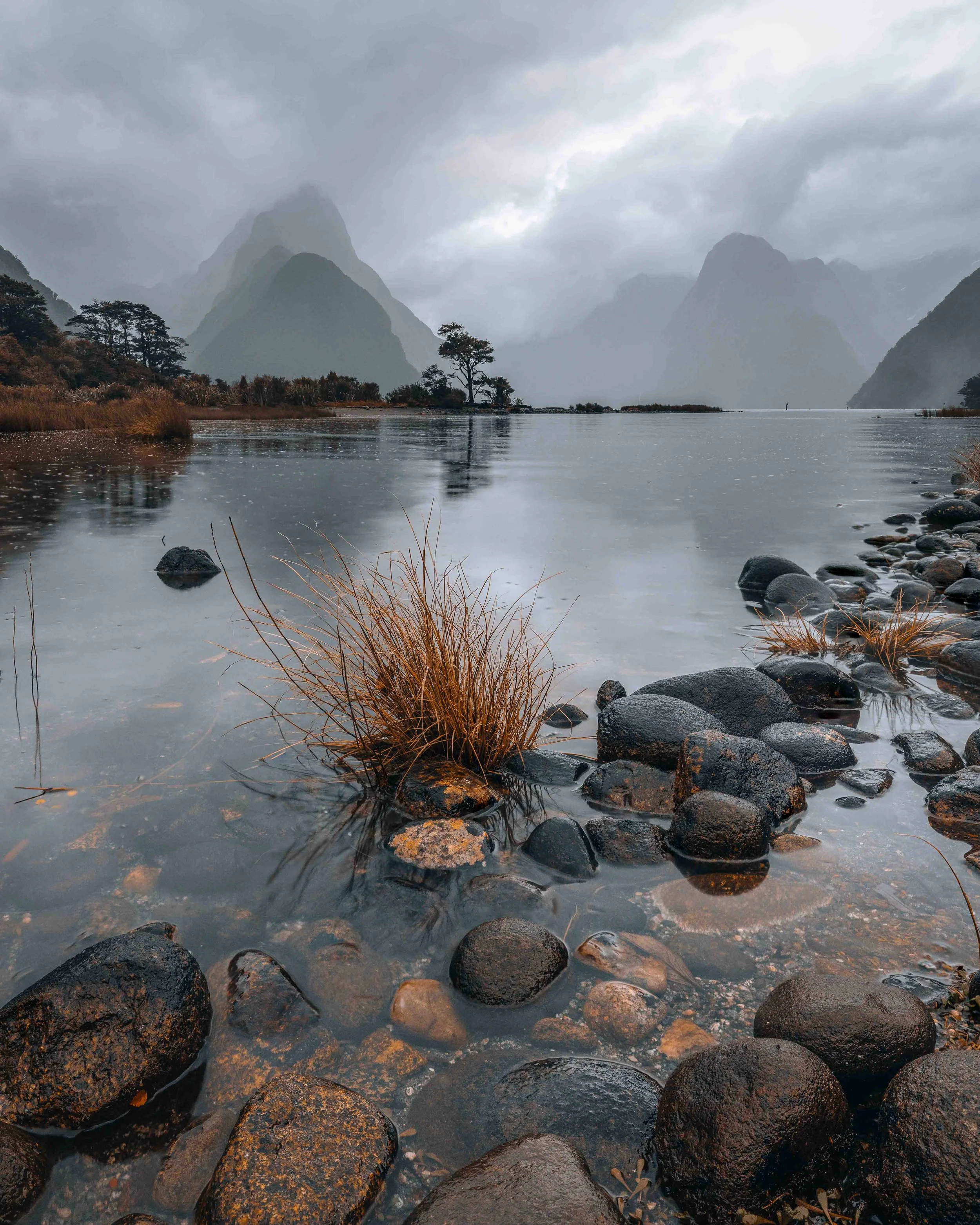 Golden Gloom Milford Sound