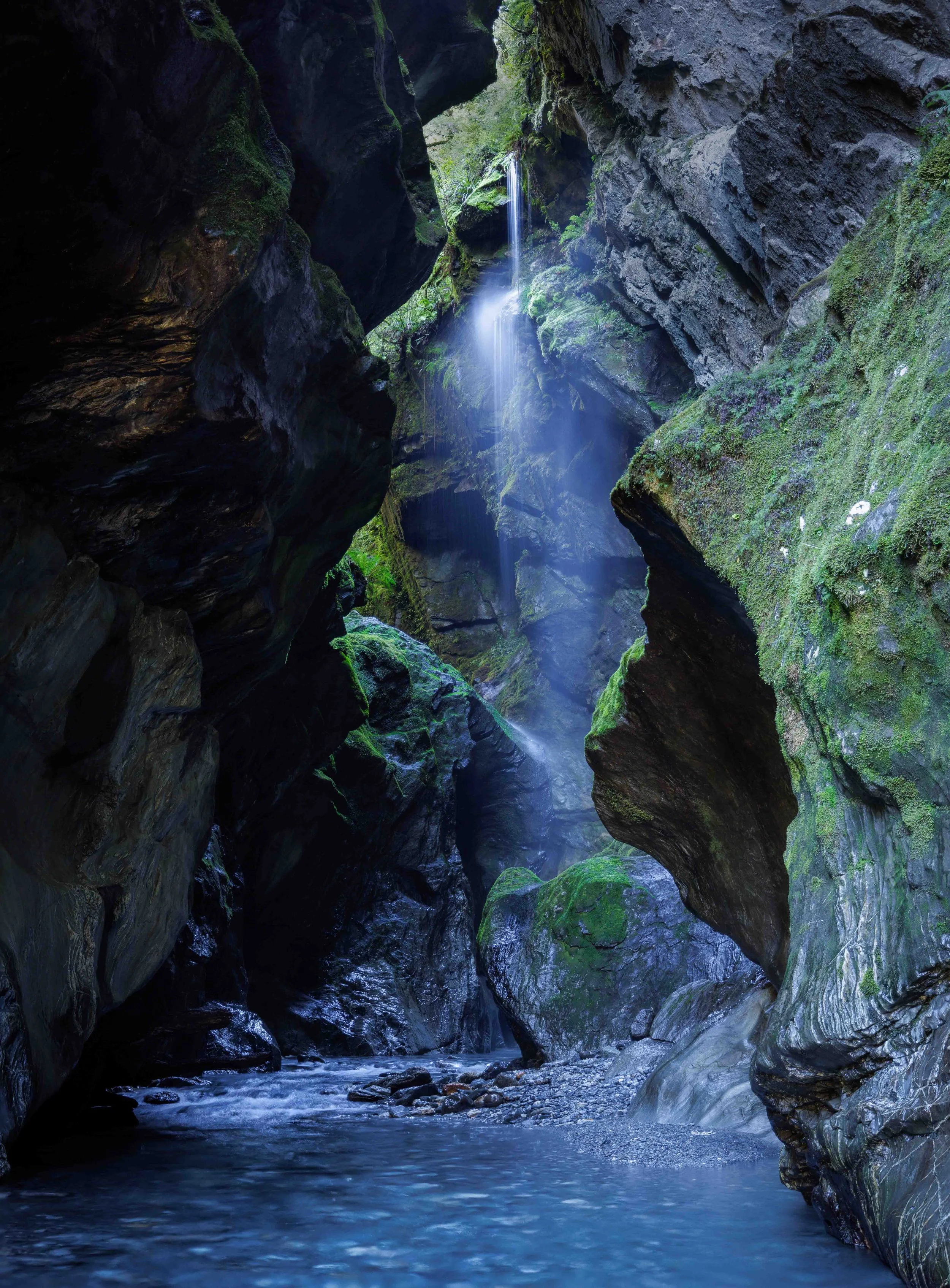 Into the Chasm