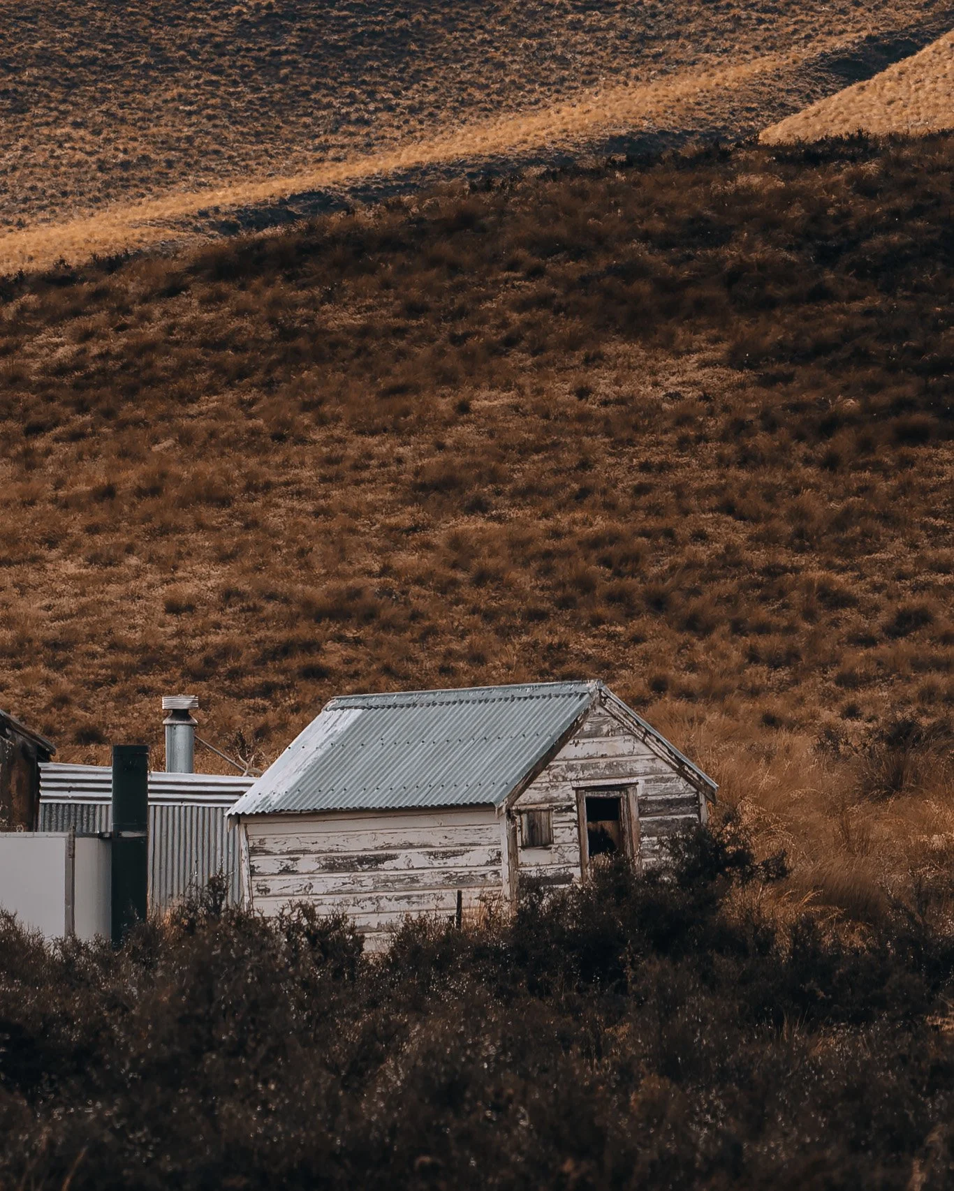 Dwayne Lohmann Hawkdun Huts_TEXTURE_DETAIL.jpg