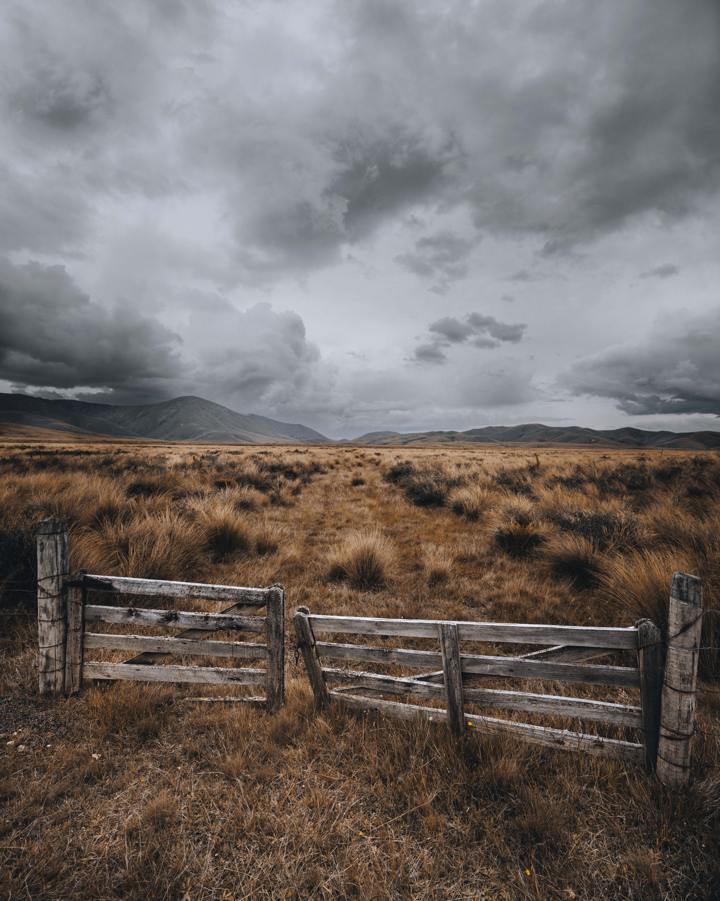 Maniototo Tussocks and Thunder – Otago High Country Fine Art Print
