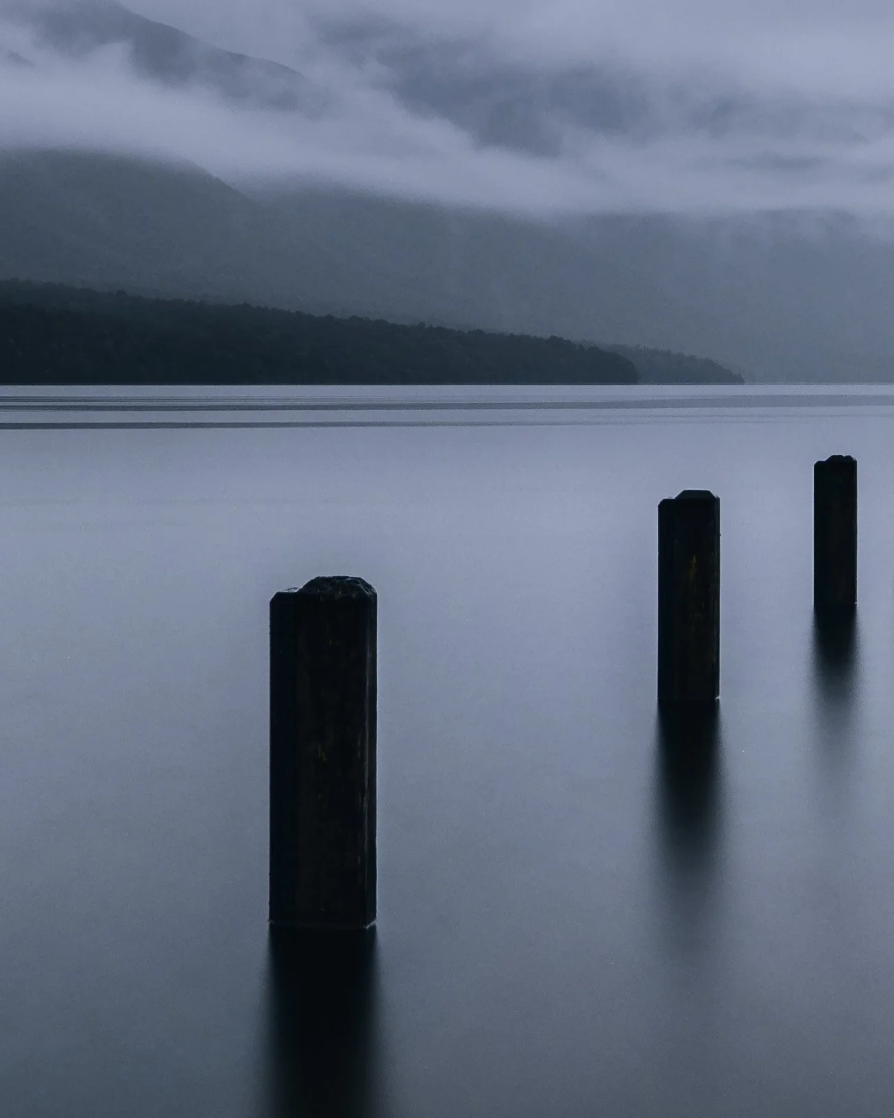 Flooded Jetty Lake Rotoiti_TEXTURE_DETAIL.jpg