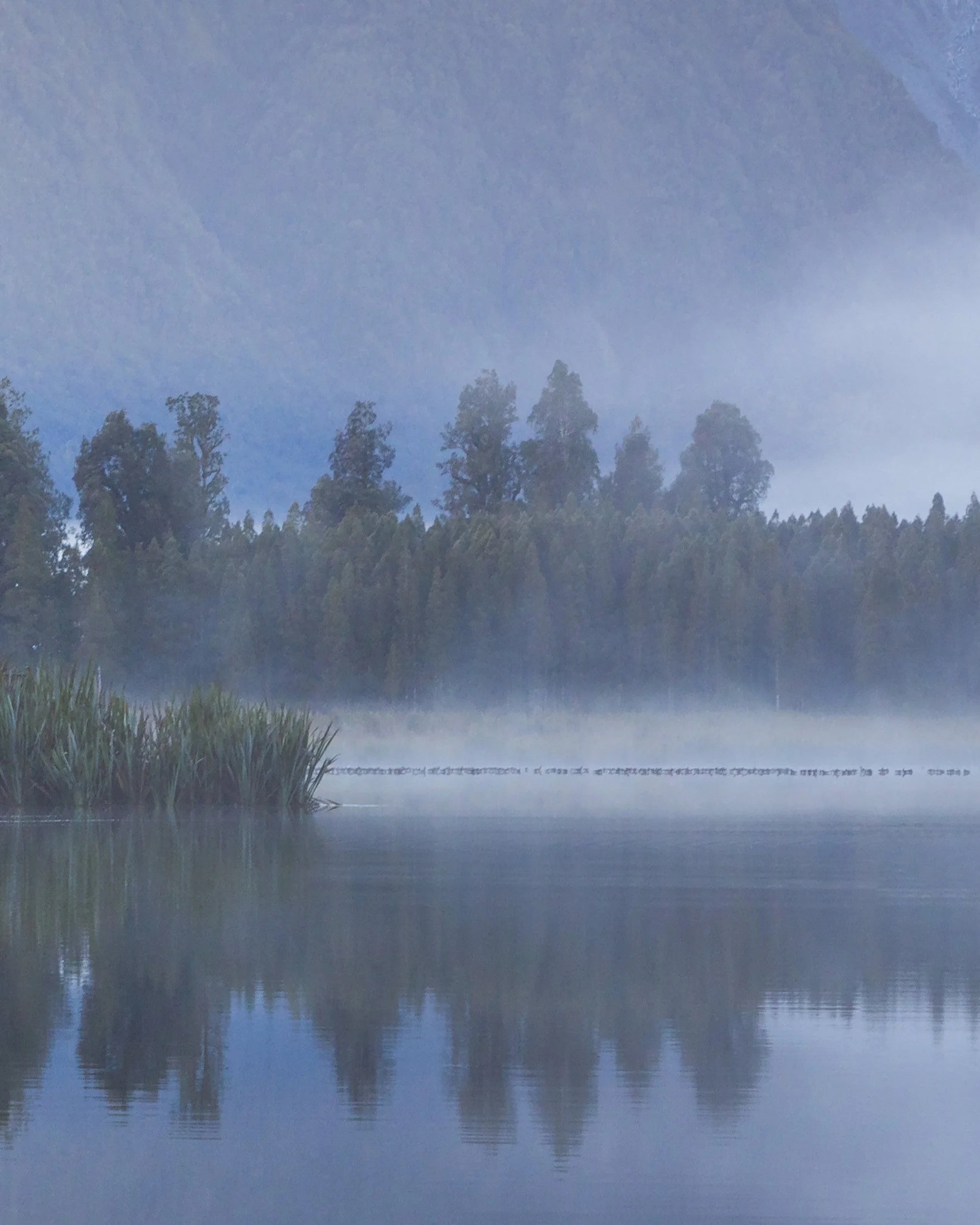 Dwayne Lohmann Lake Matheson Mount Cook_TEXTURE_DETAIL.jpg