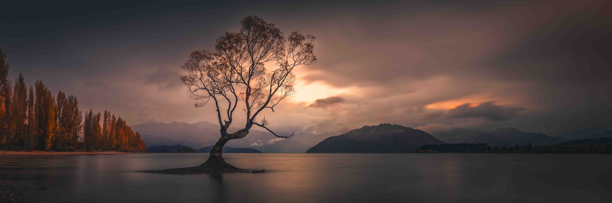 dwayne-lohmann-wanaka-tree-twilight-new-zealand-fine-art-print.jpg