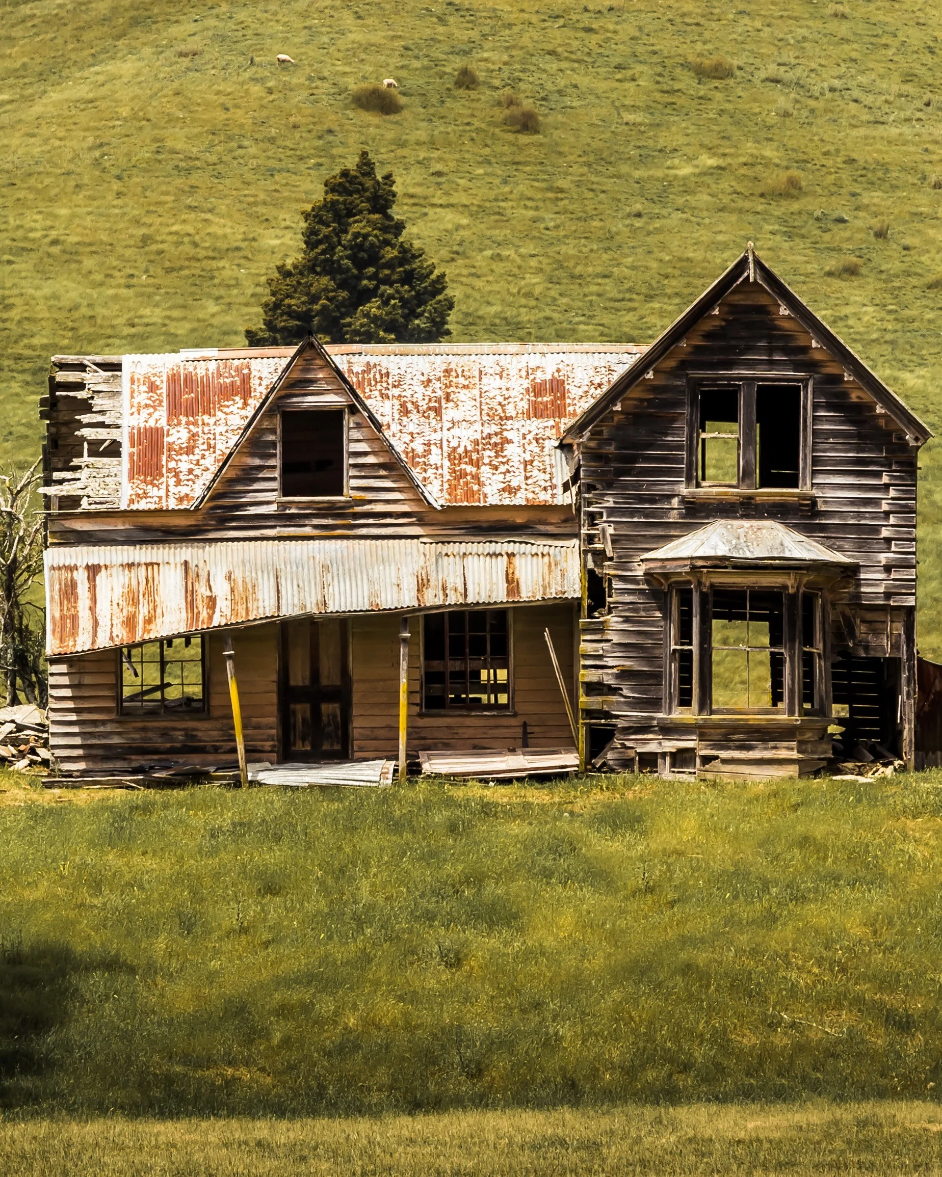 Dwayne Lohmann Wai-iti House 2019 Symmetry _TEXTURE_DETAIL.jpg
