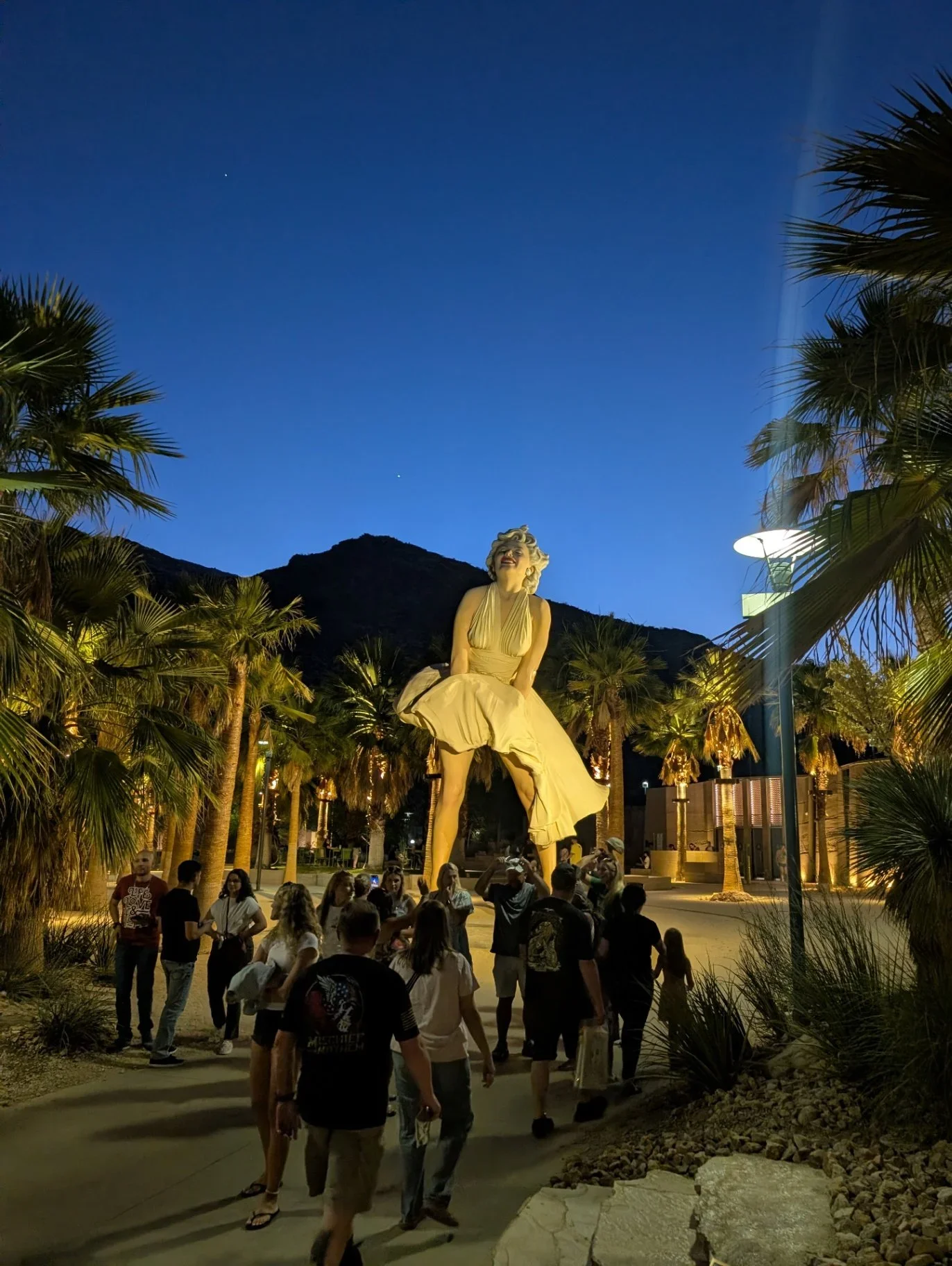 Desert Night's, Diva Lisa's Guide to Palm Springs