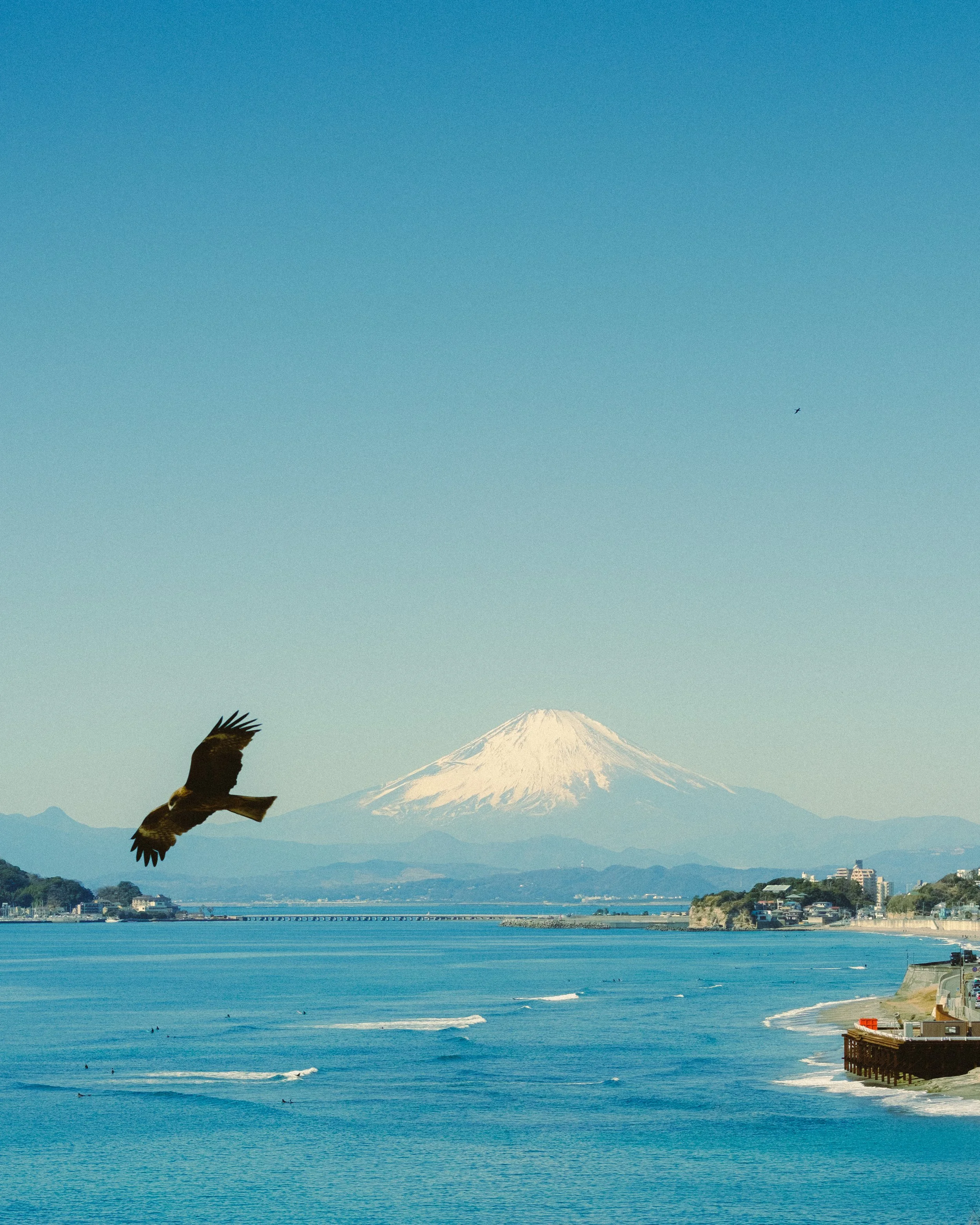 Scenic view of Mount Fuji with snow-capped peak, set against a clear blue sky with a small flying bird, overlooking a lakeside with buildings, trees, and a beach with people enjoying the water.