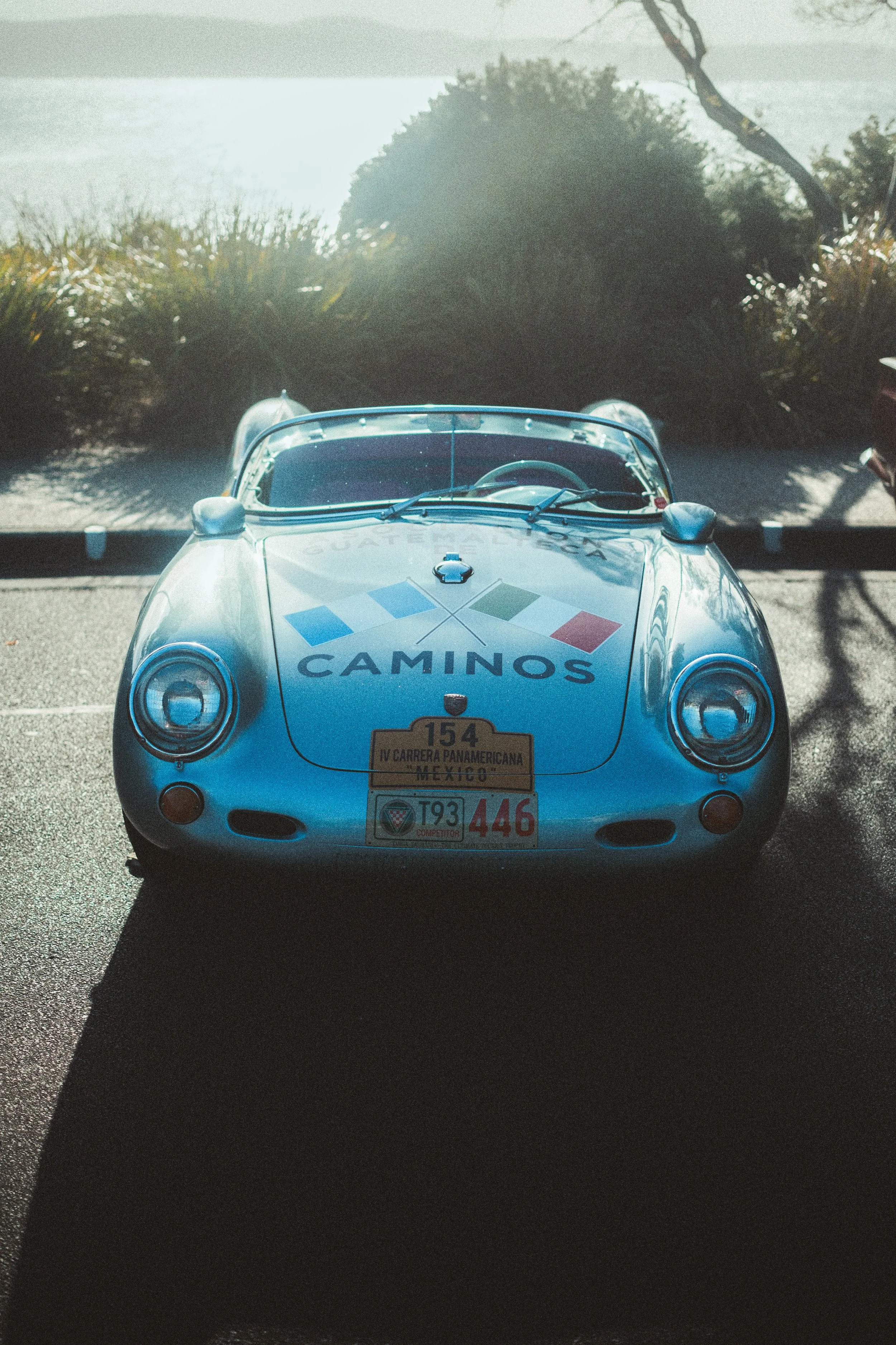 A classic blue Porsche sports car with a racing number 446 on the front, parked outdoors in front of a bushy background, with sunlight creating a bright glare on the vehicle.