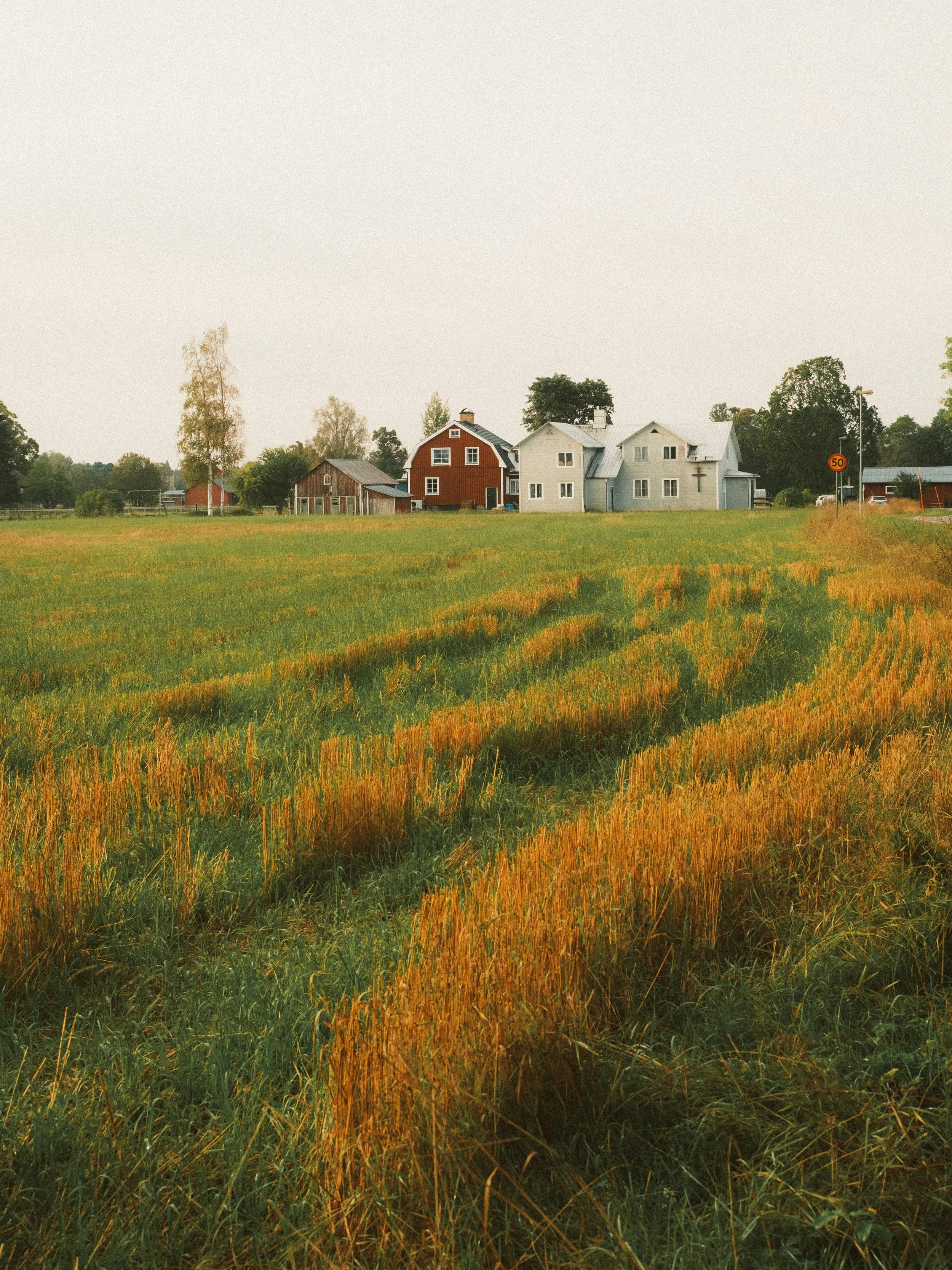 A rural scene with a grassy field and a farmhouse with additional buildings in the background on a cloudy day.