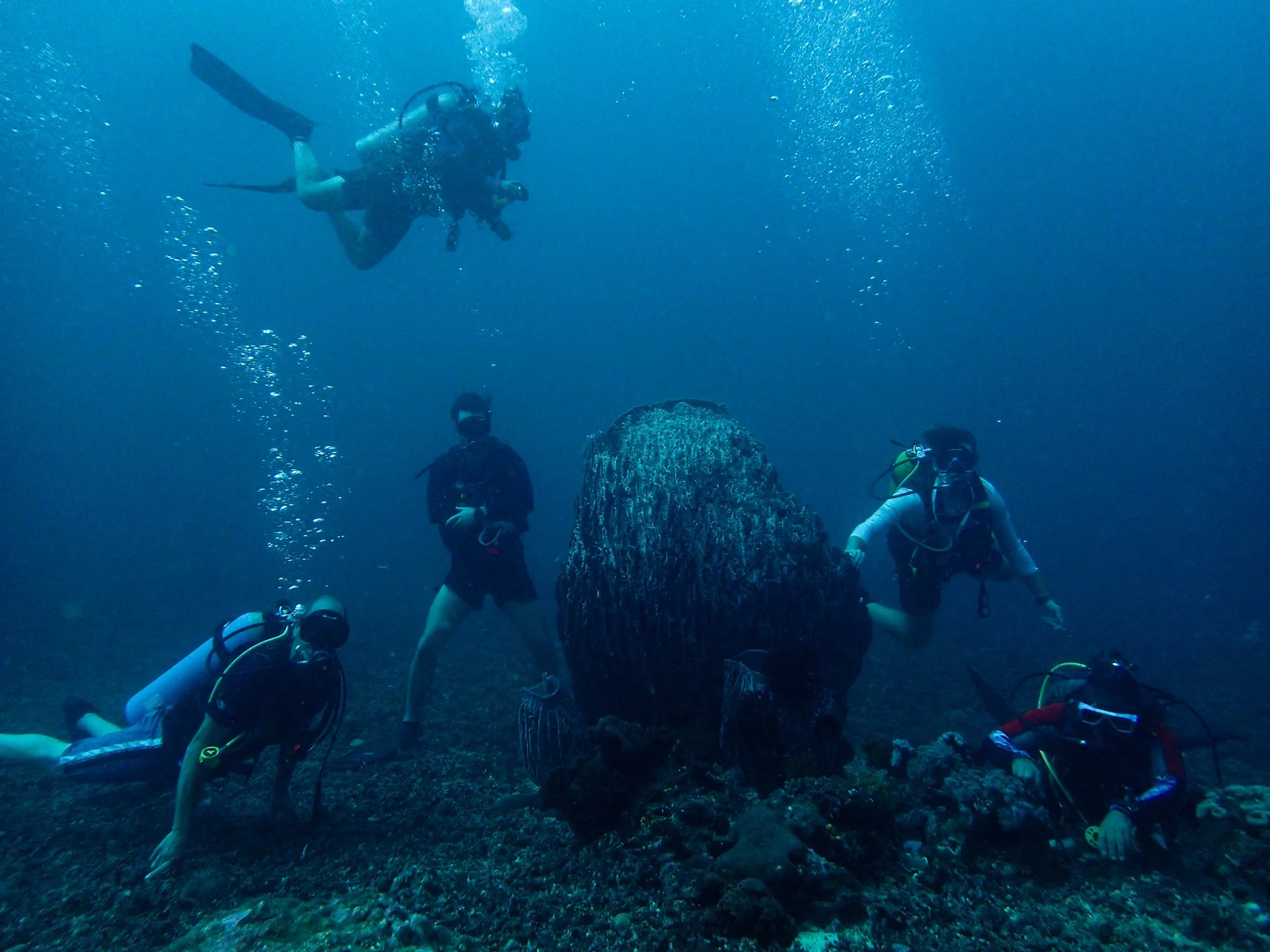 Intro to Scuba Diving