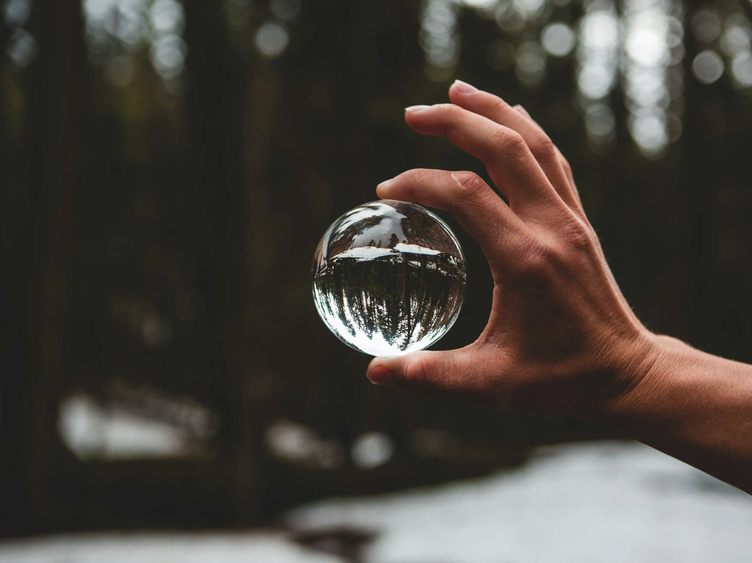 unsplash-image-ltifWJbvhXM.jpg