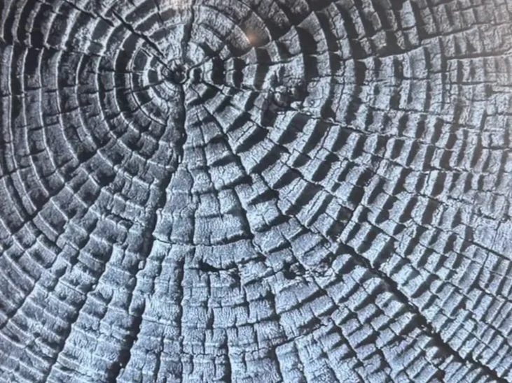 The Missing Layers