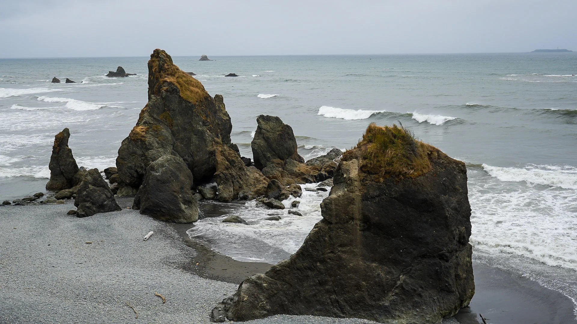 DSC08306.jpg