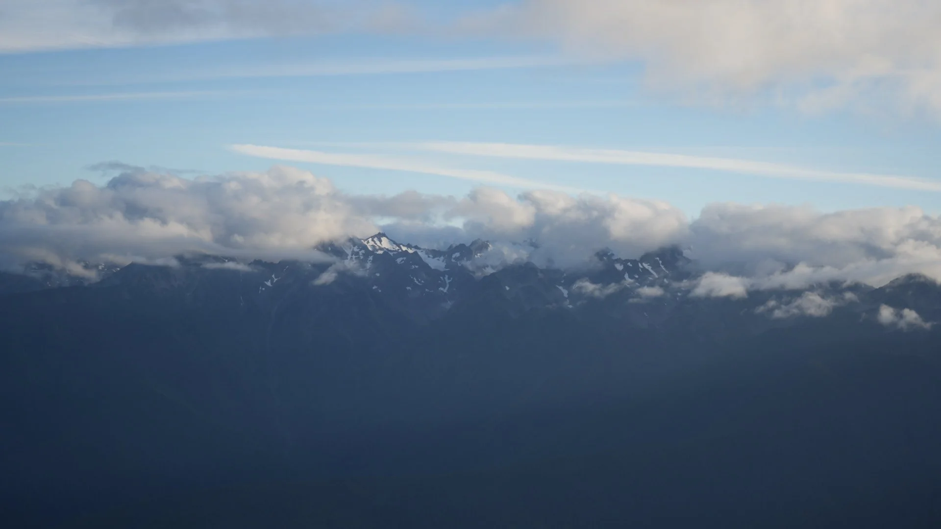 DSC08429.jpg