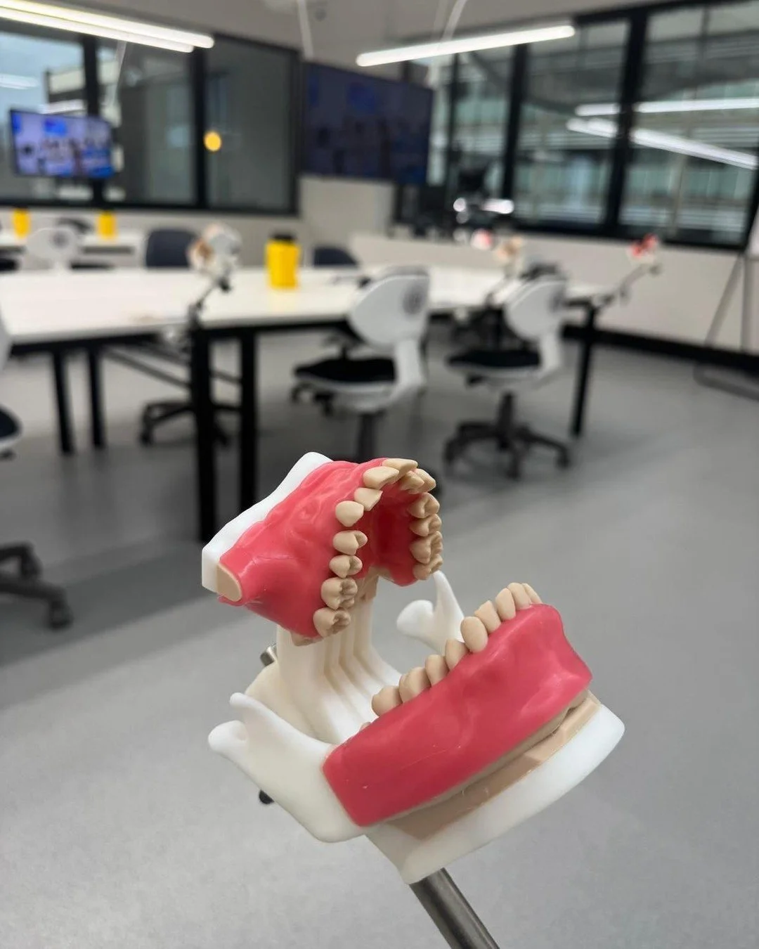 Get your hands on it. Literally. 

Days 2 and 3 of Ultimate Anterior Aesthetics are full hands-on sessions &mdash; and you're working on Oratomic4D Biomimetic typodont models based on real patients.

Not a simulation. Real prep. Real technique. Real 