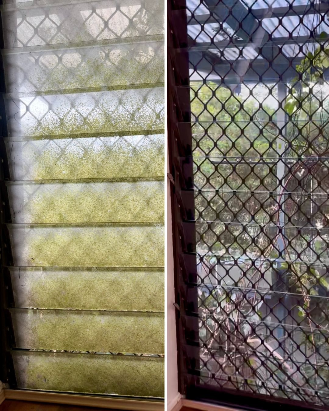 Mouldy louvres cleaned and transformed - window cleaning, glass cleaning cairns. Spotless