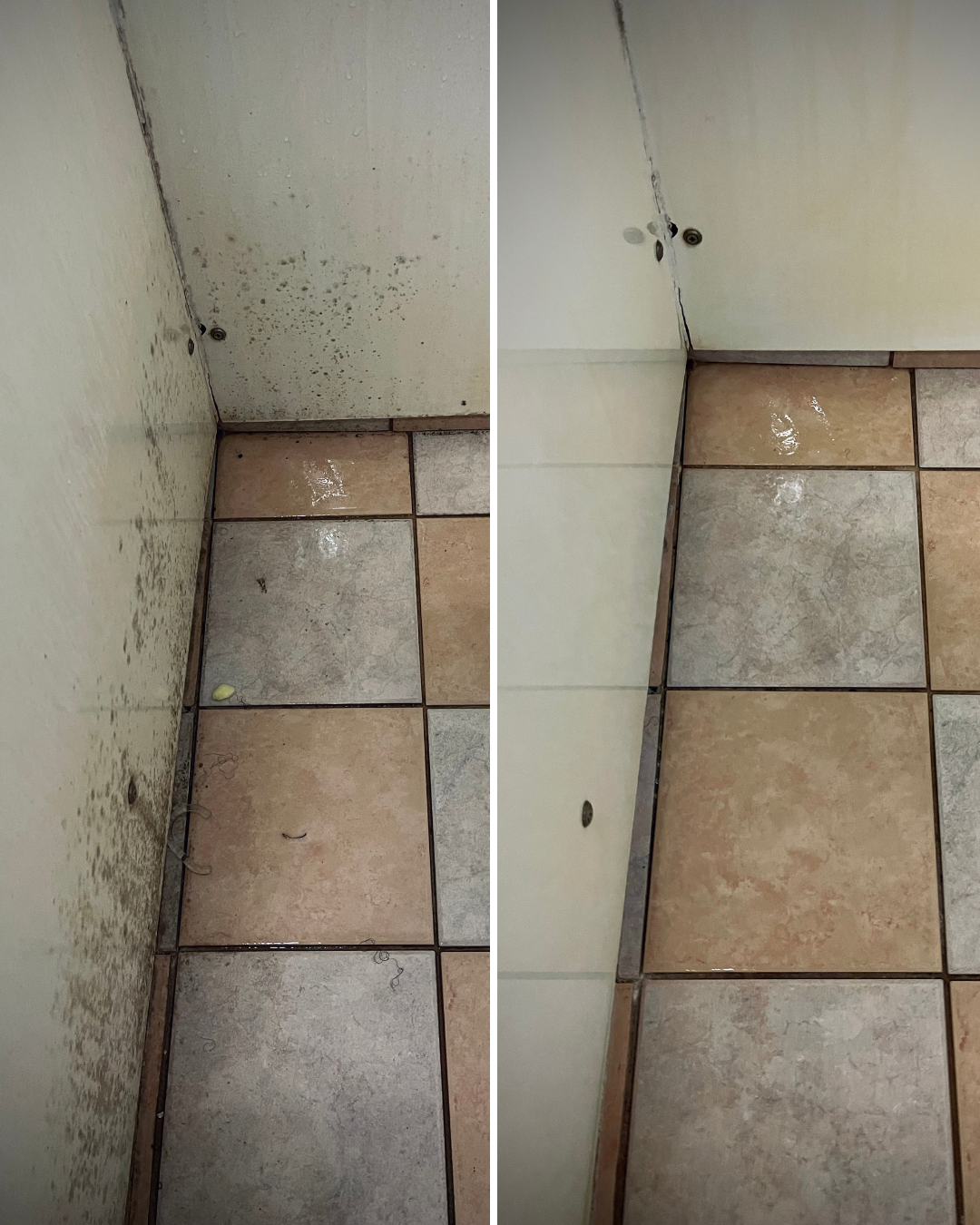 Before and after bathroom clean, mouldy tiles cleaned, tile cleaning, mould removal, bathroom transformation Cairns
