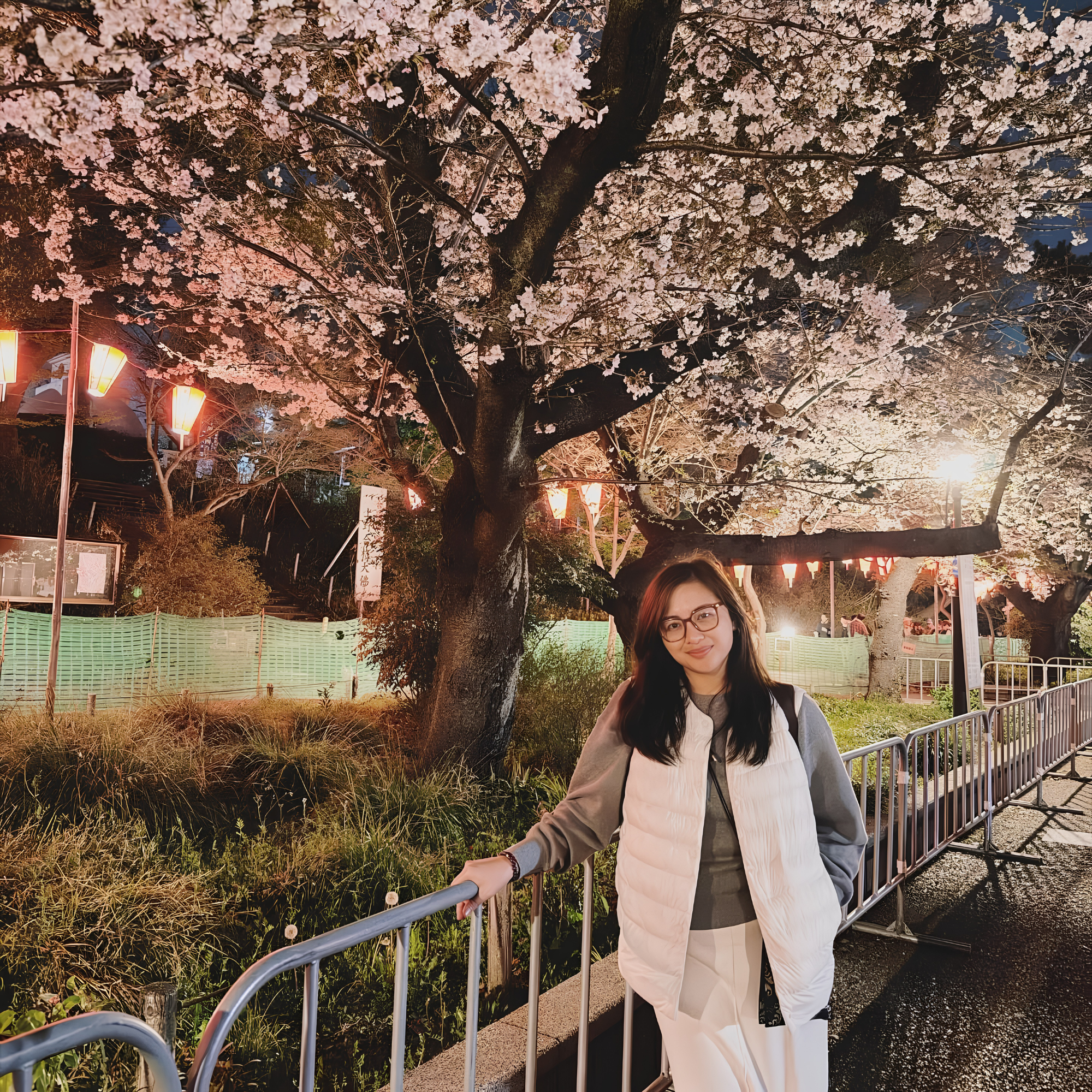 Night scene of cherry blossom tree illuminated by lights with a woman in glasses and a beige jacket standing near a metal fence in the foreground.