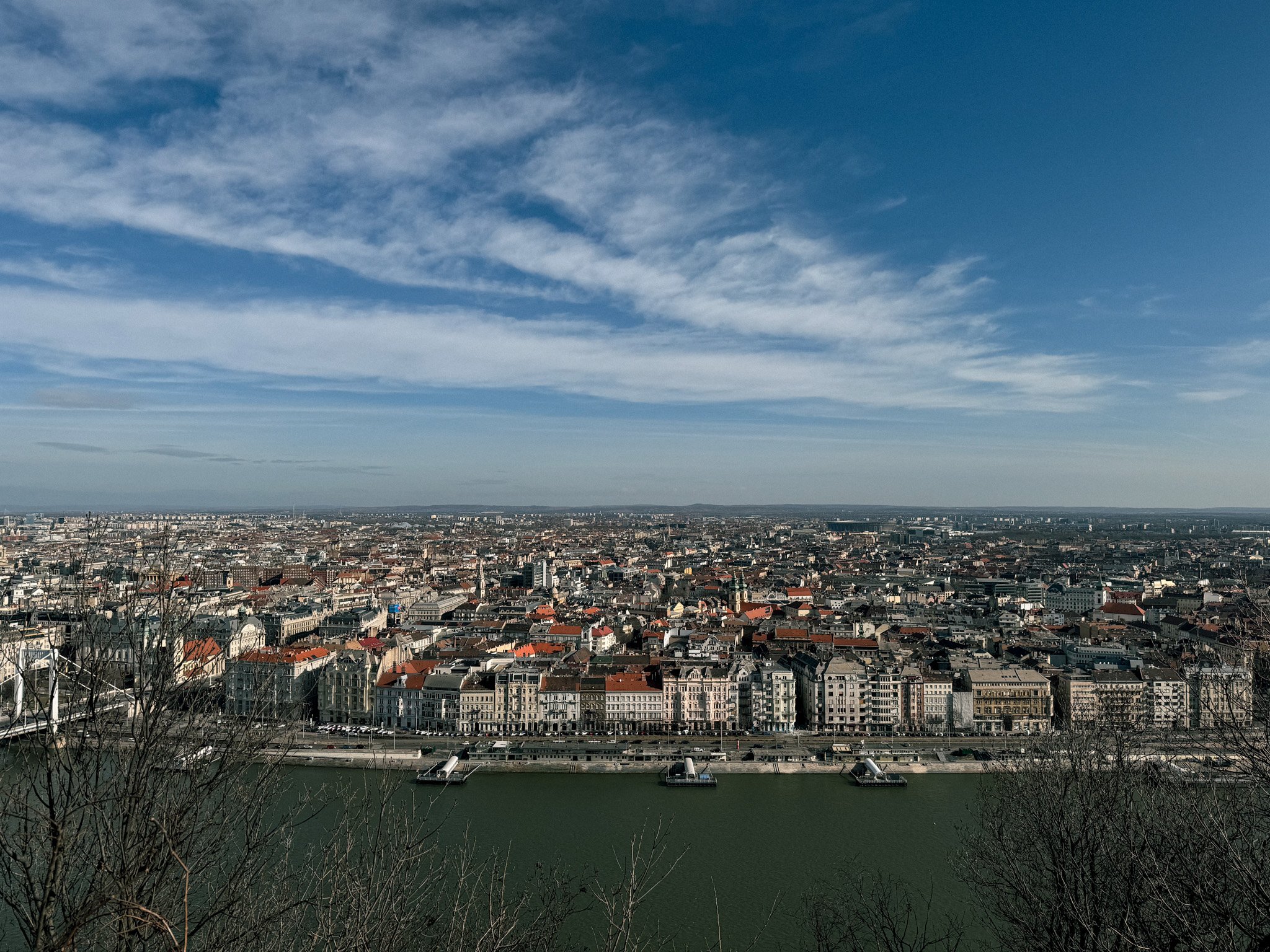IMG_7338.jpg