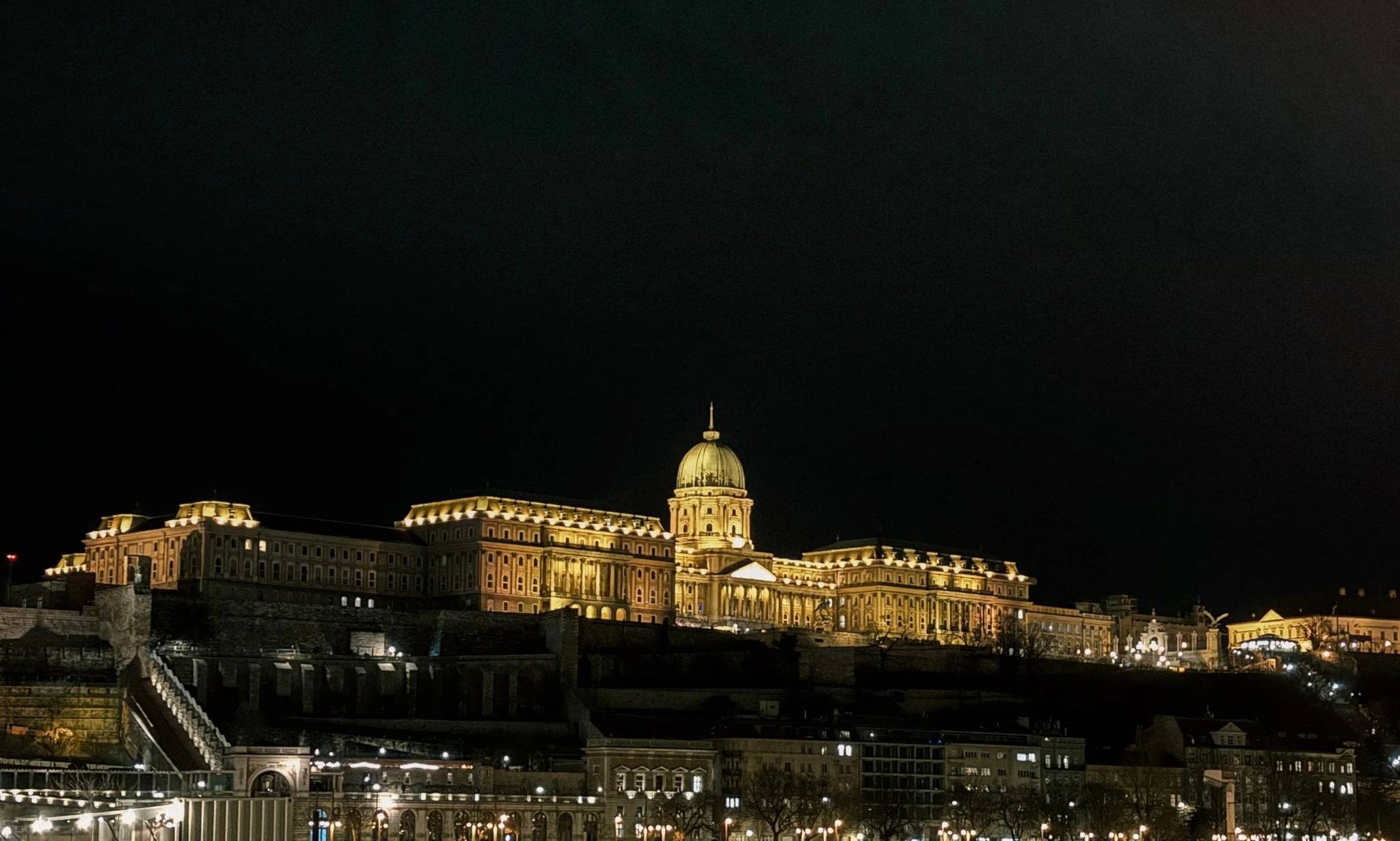 IMG_7982.jpg
