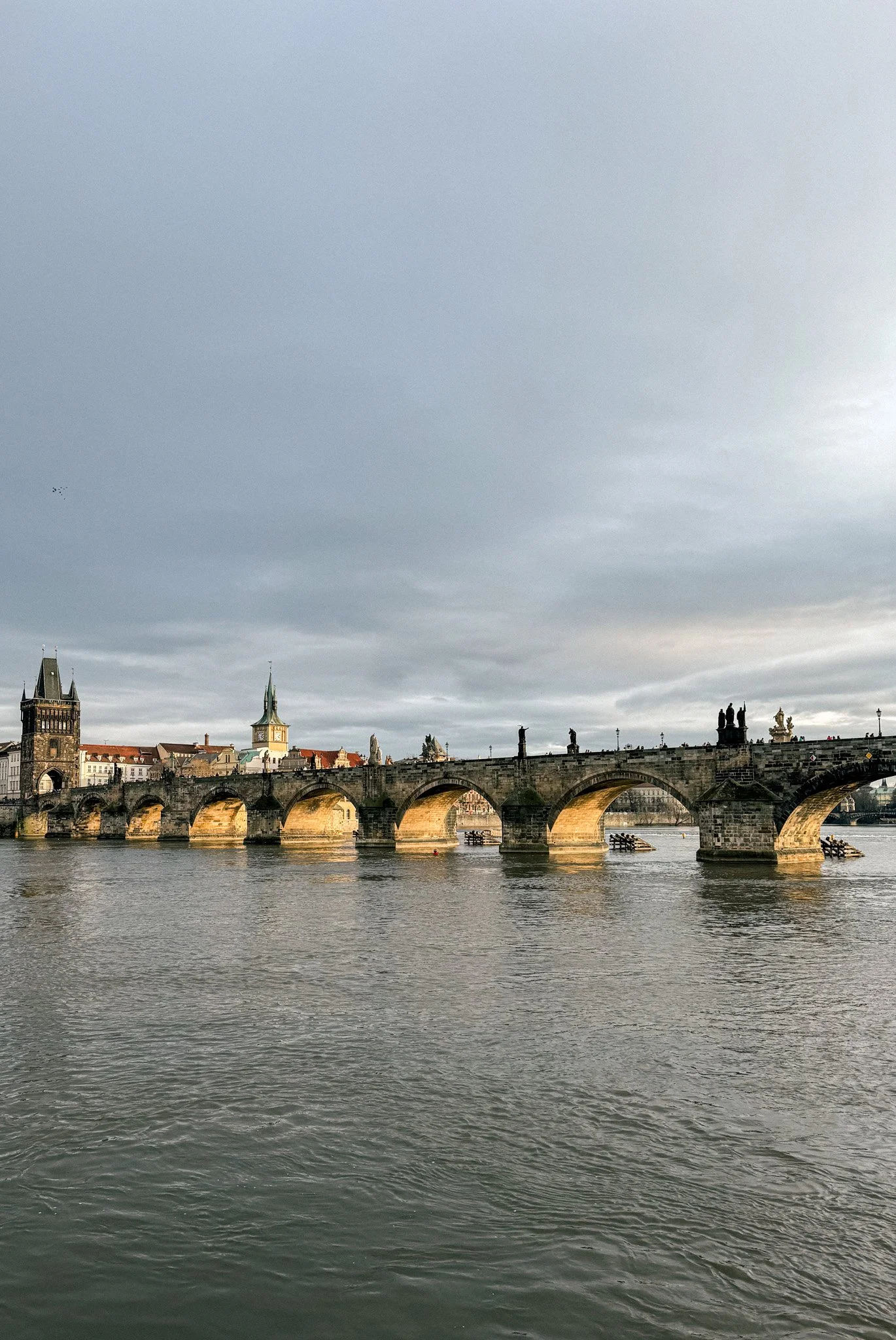 IMG_8140.jpg