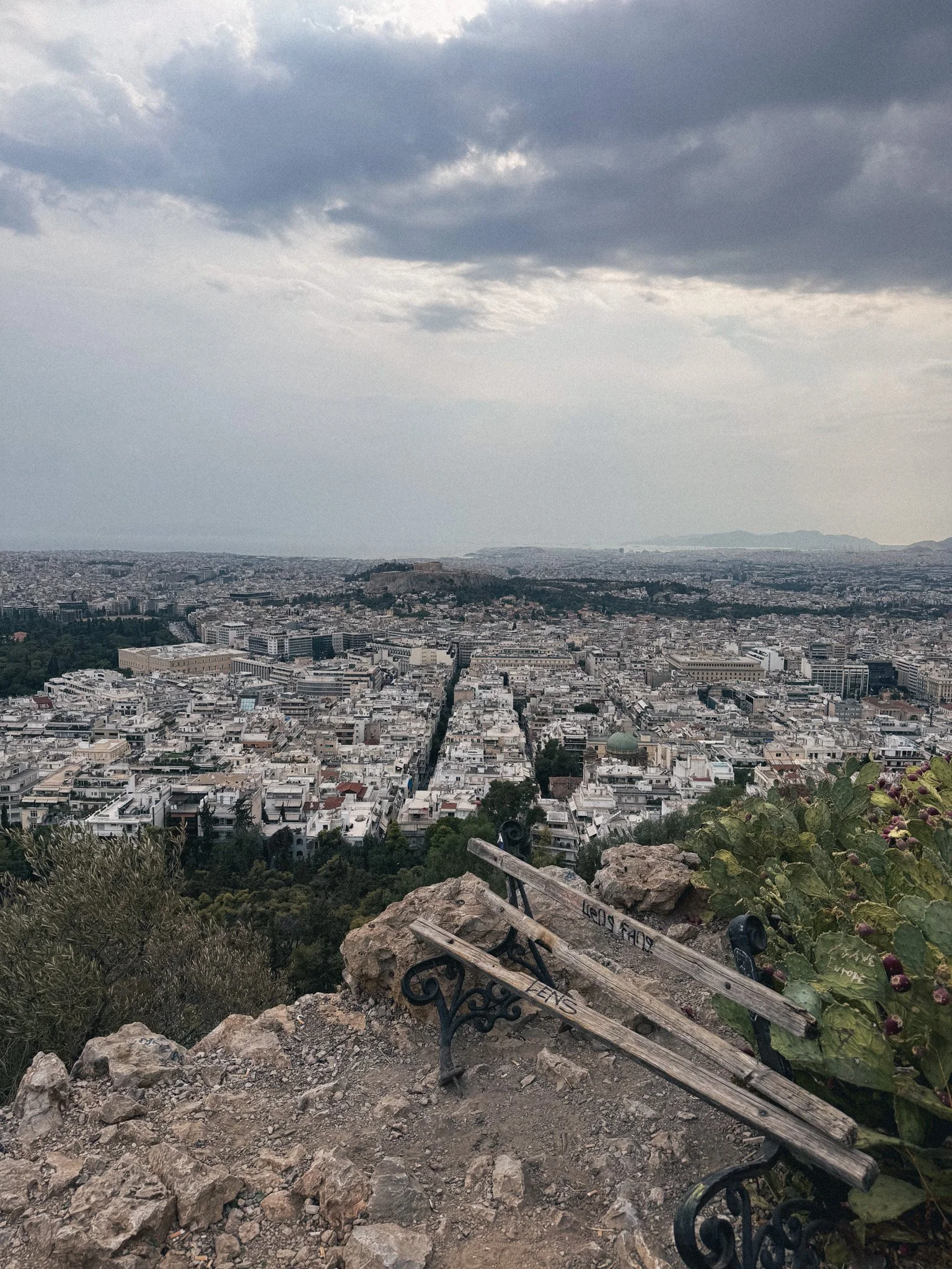 IMG_3790.jpg