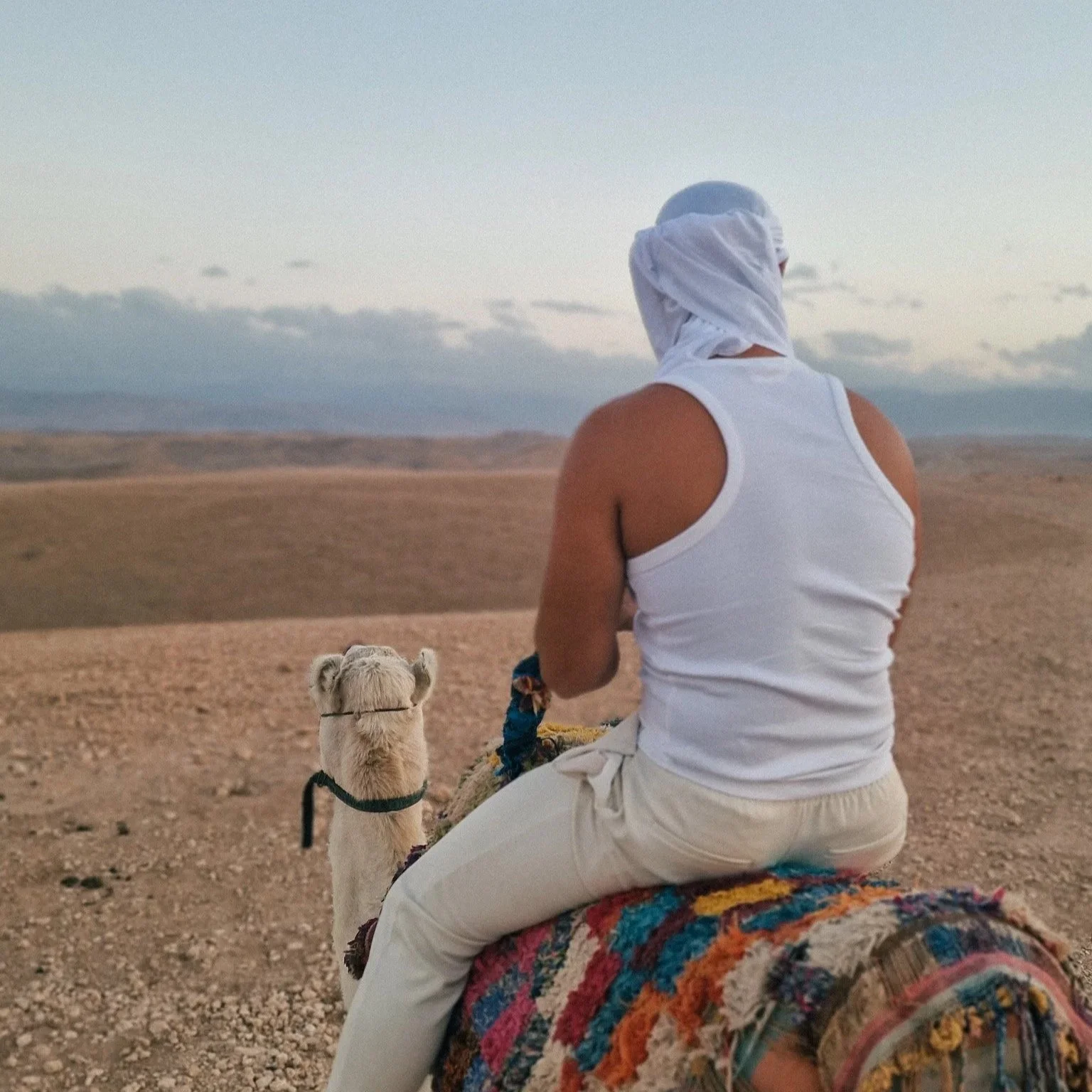 Marrakech: Orijentalna Eksplozija Boja, Mirisa i Kulture
