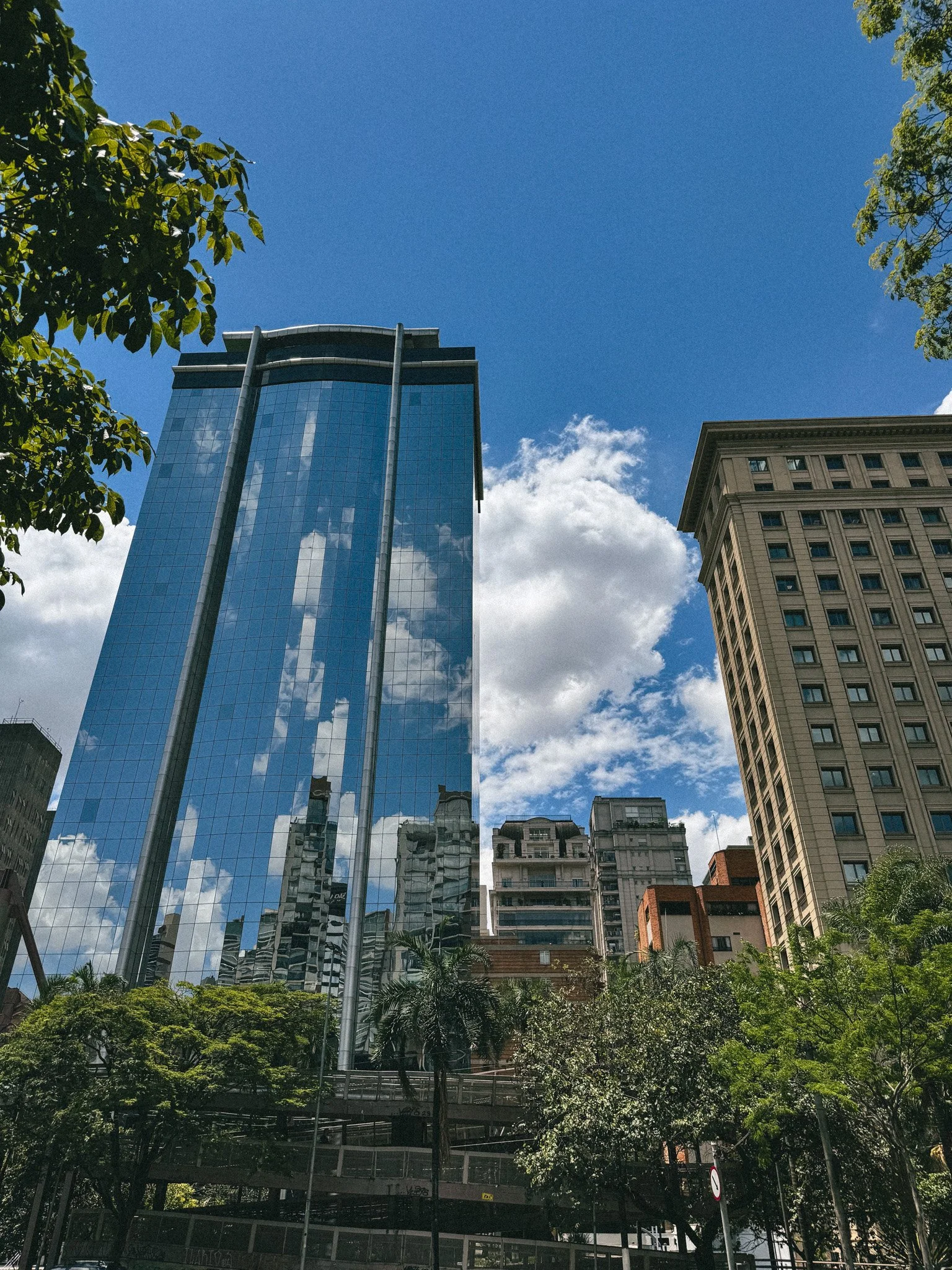 IMG_0921.jpg
