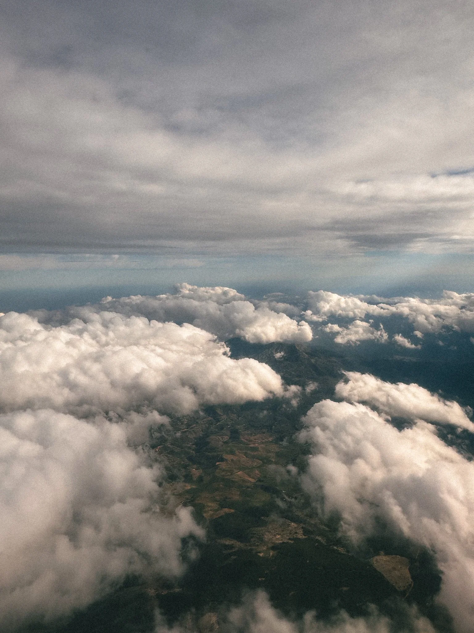 IMG_5556.jpg