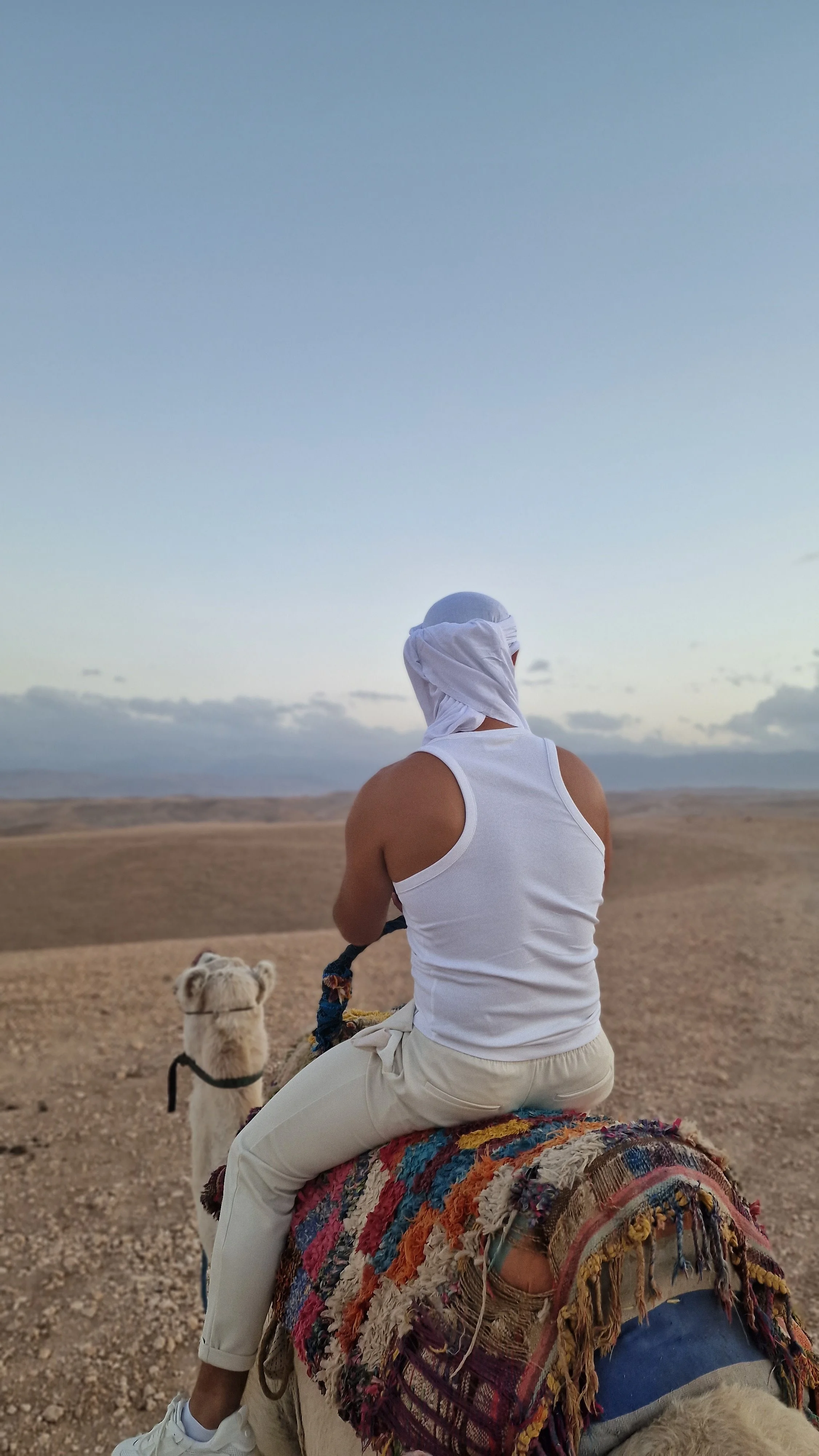 A man sitting on a camel in a desert landscape, wearing a white tank top and a head covering, with a dog sitting nearby, and mountains in the distant background under a partly cloudy sky.