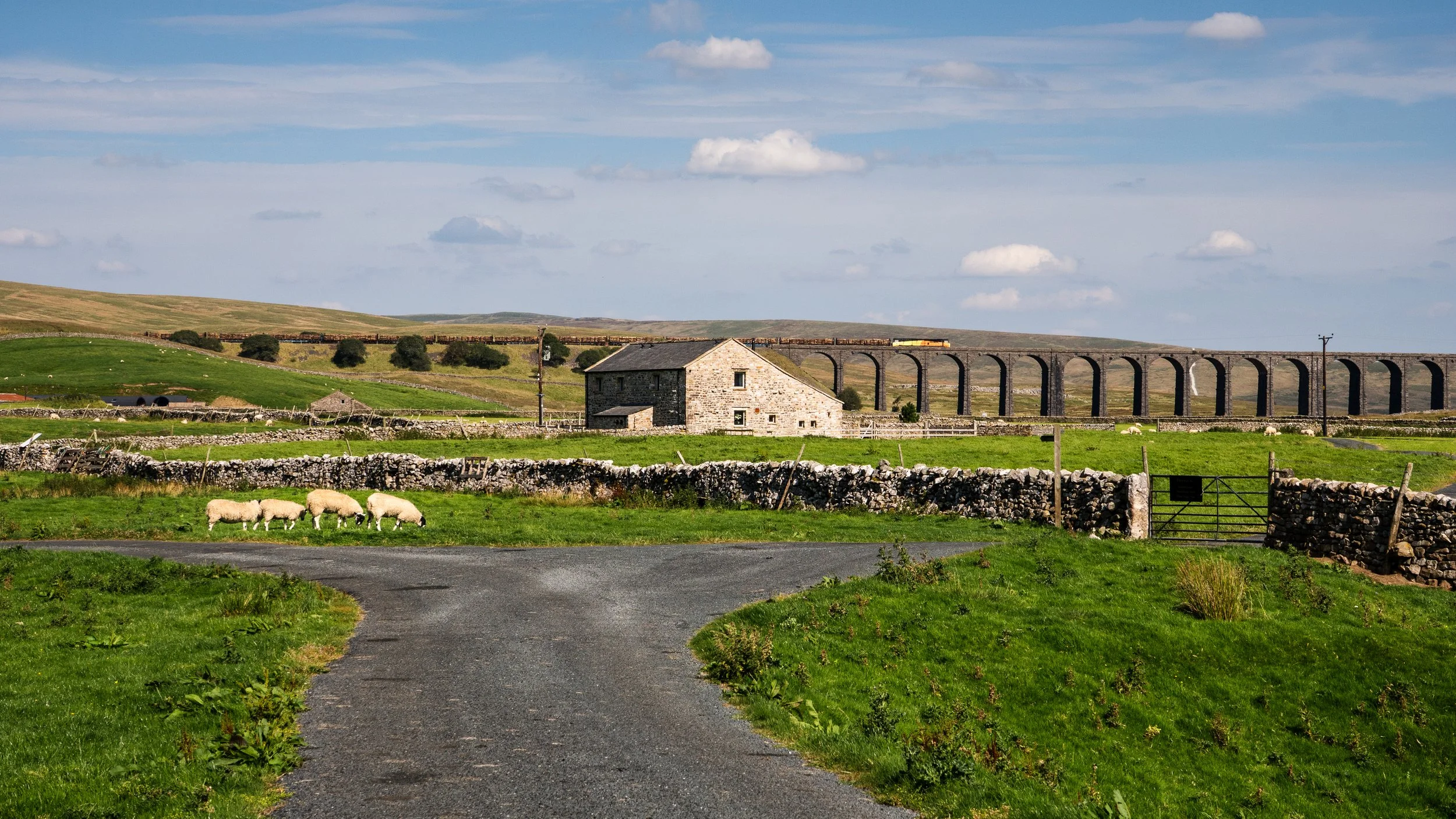 A rural landscape with a grassy field, a stone house, and a stone wall in the foreground. Sheep are grazing near the road. A large stone railway viaduct arching across the background with train tracks and a train passing over. Rolling hills and blue 