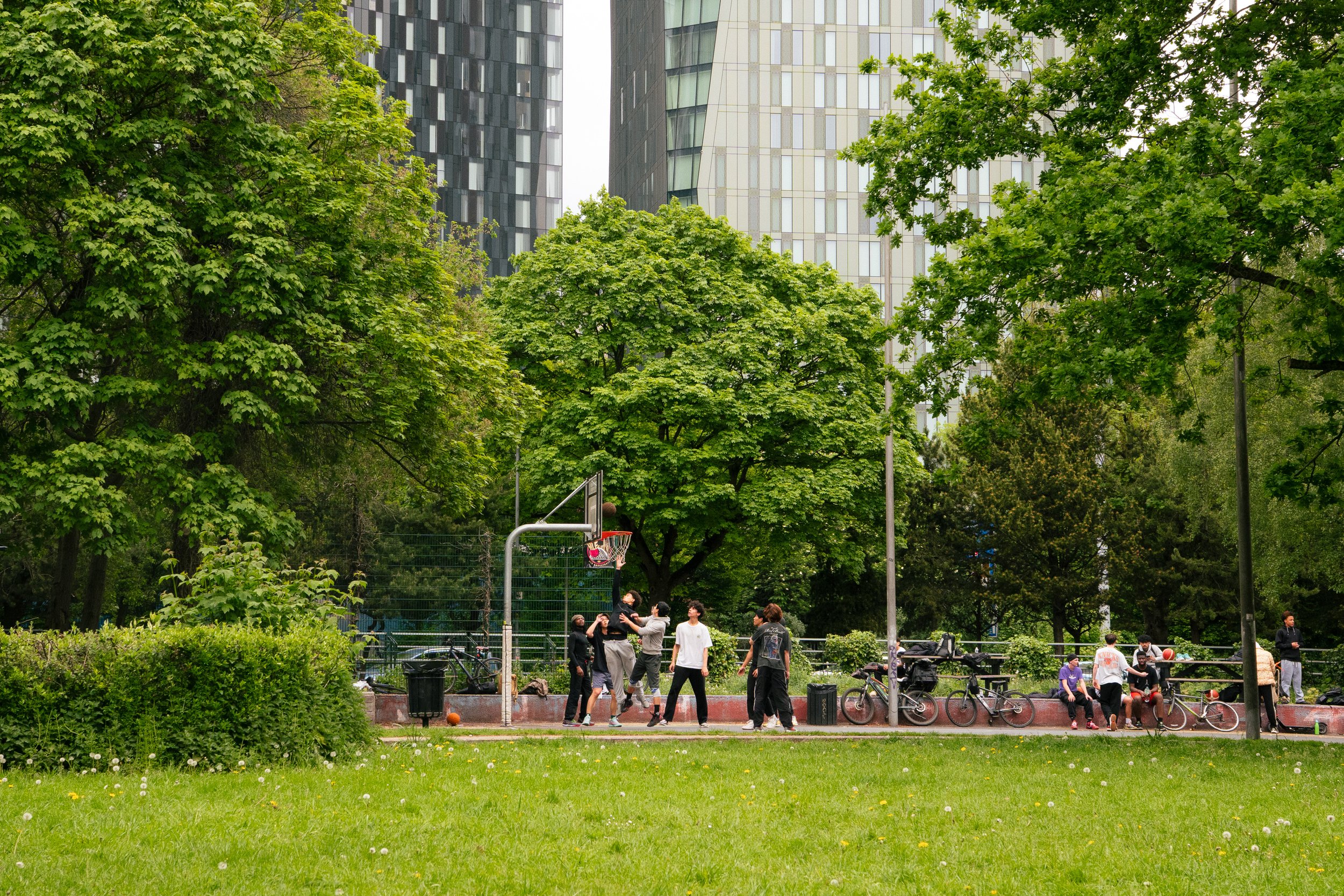 Group of people playing basketball in a city park with tall buildings and lush green trees in the background.