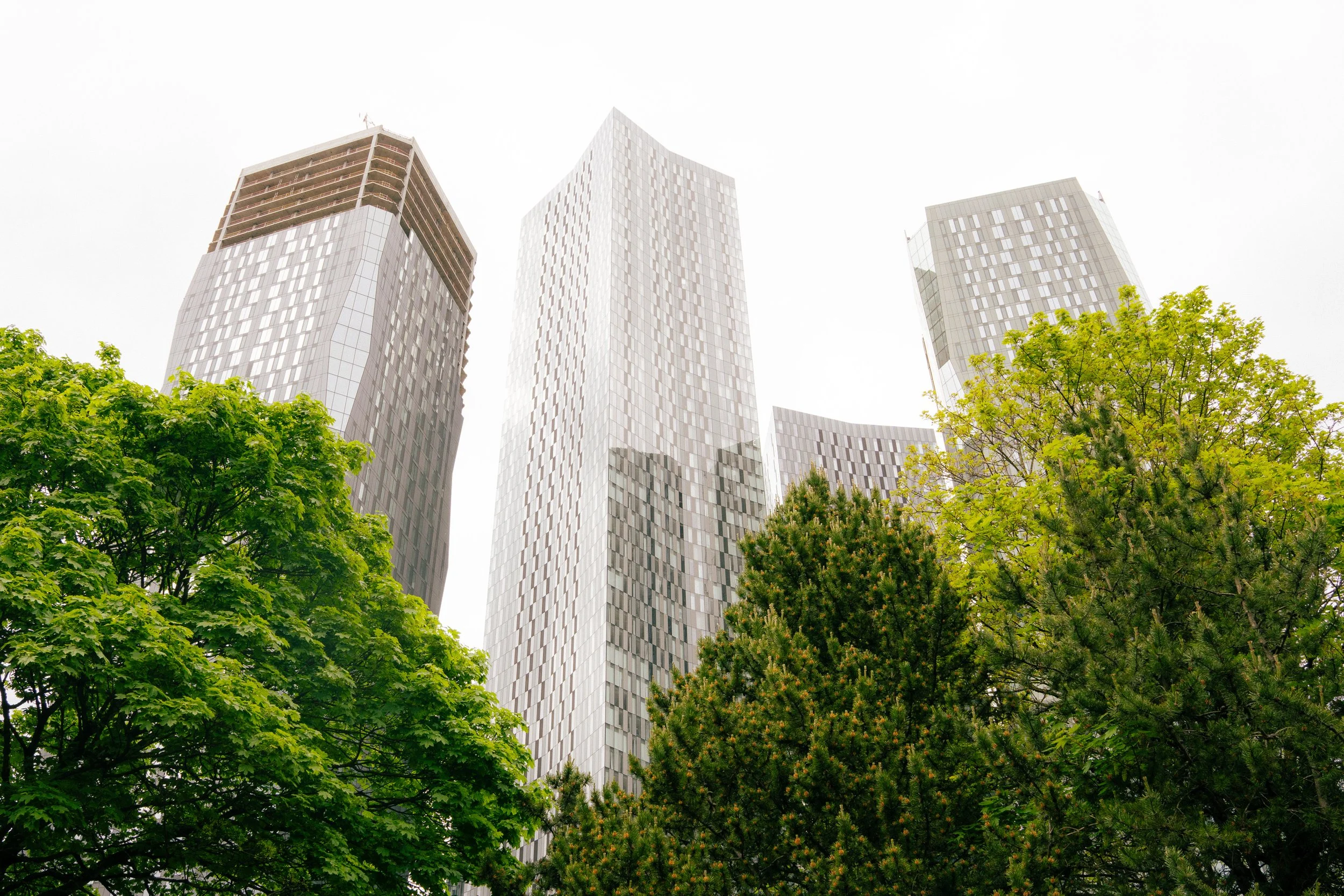 Tall modern glass skyscrapers with trees in the foreground, viewed from below against a white sky.