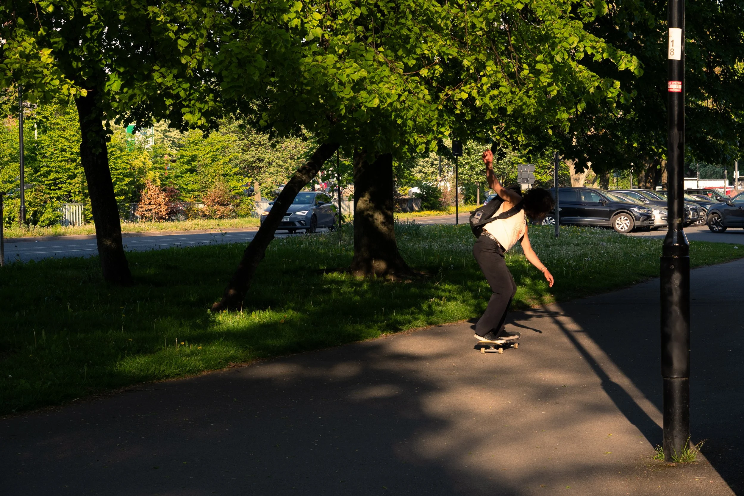 A person skateboarding on a sidewalk under a large leafy tree in a park or city area during daytime, with parked cars and a lamppost visible in the background.