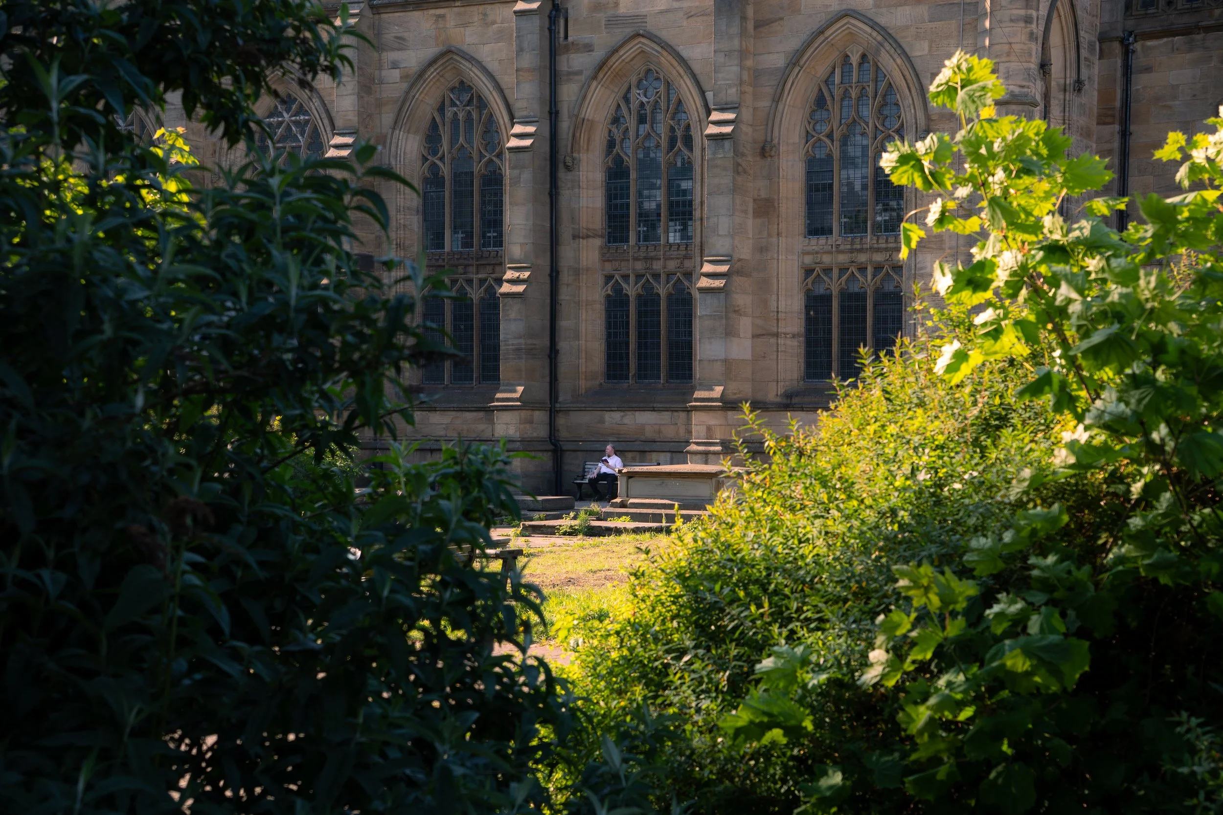 A person sitting on a bench in a park with trees and bushes in the foreground, and a stone church with tall, arched windows in the background.