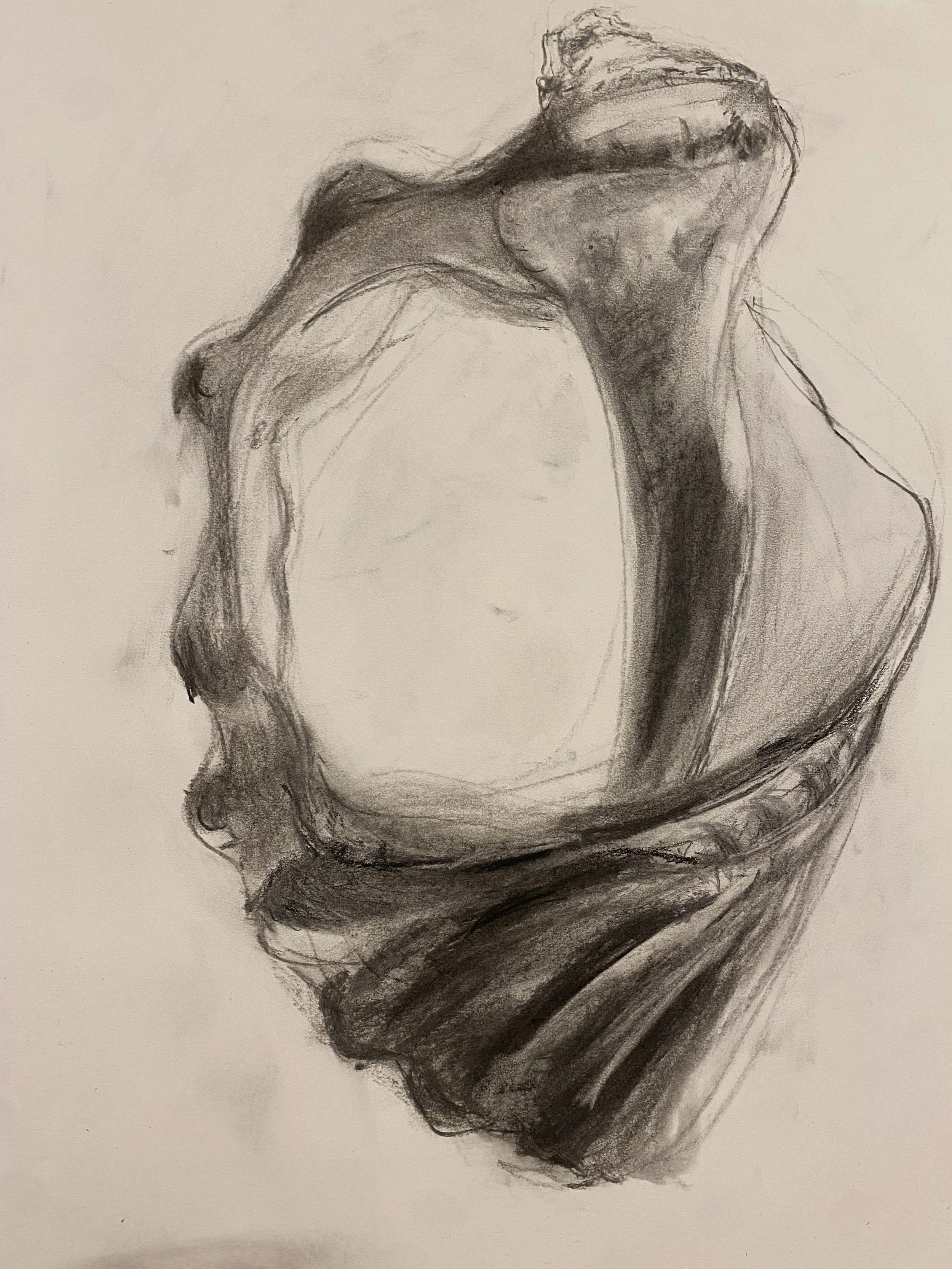 Charcoal Shell.jpg