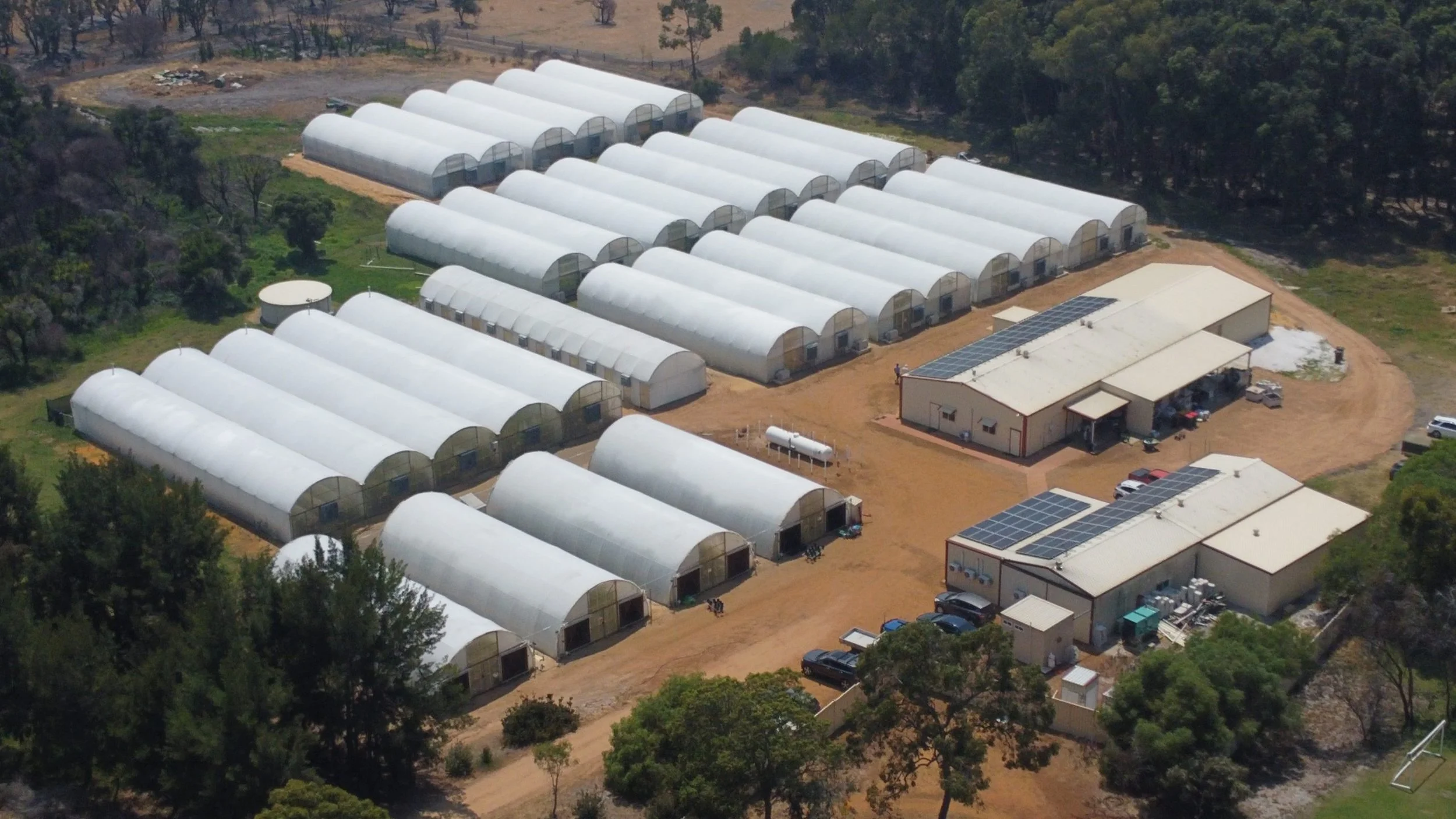 32 Greenhouses Whitewashed for Perth Summer