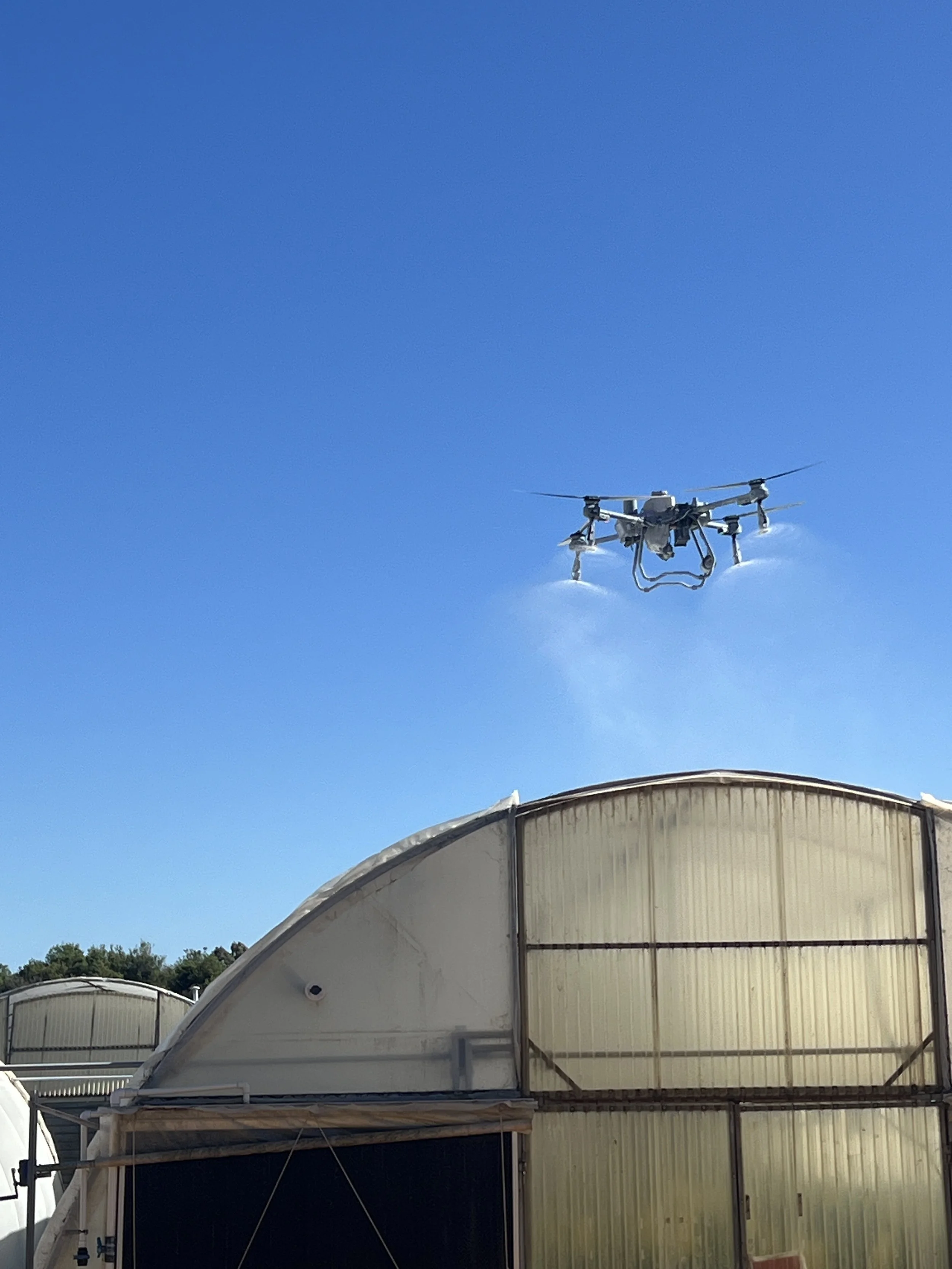 Whitewashing Greenhouse by Drone 