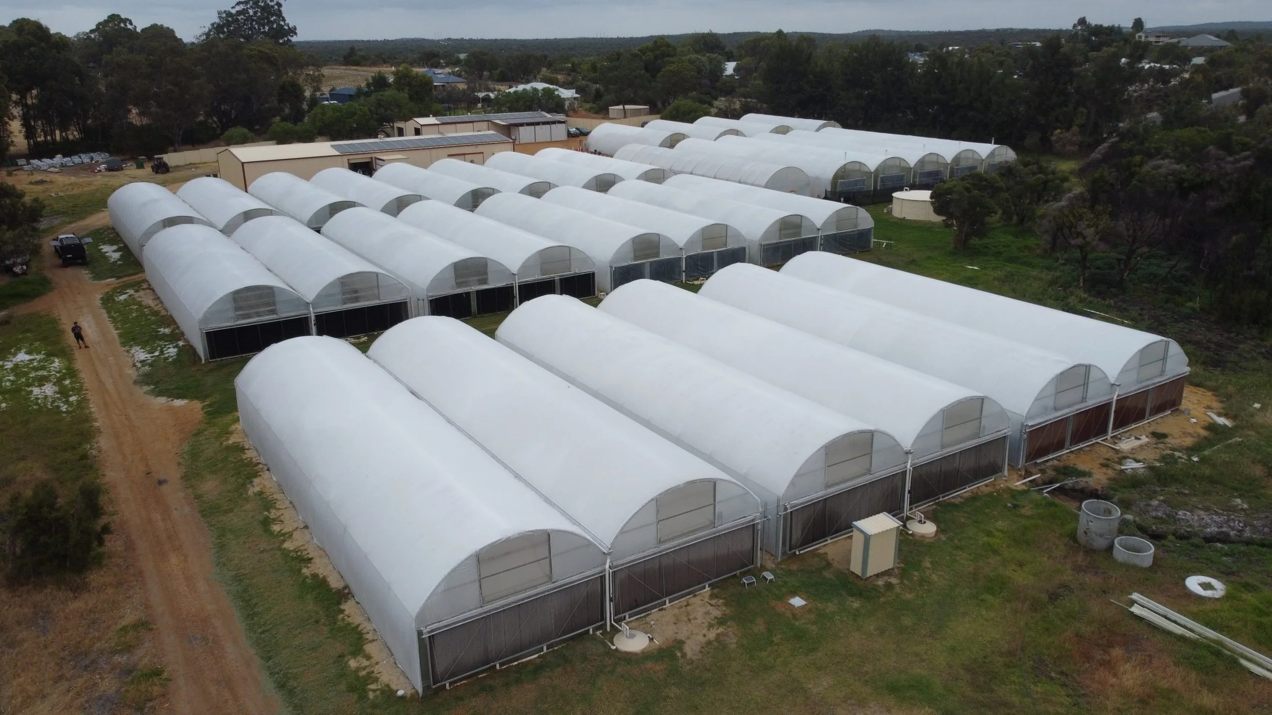 Whitewashed Greenhouses in Western Australia by Drone