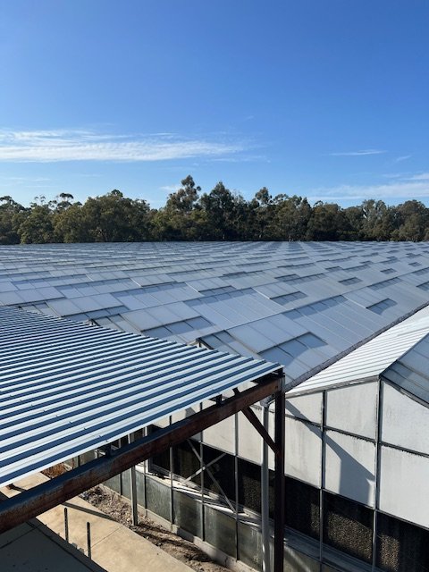Whitewashed Greenhouse by Drone