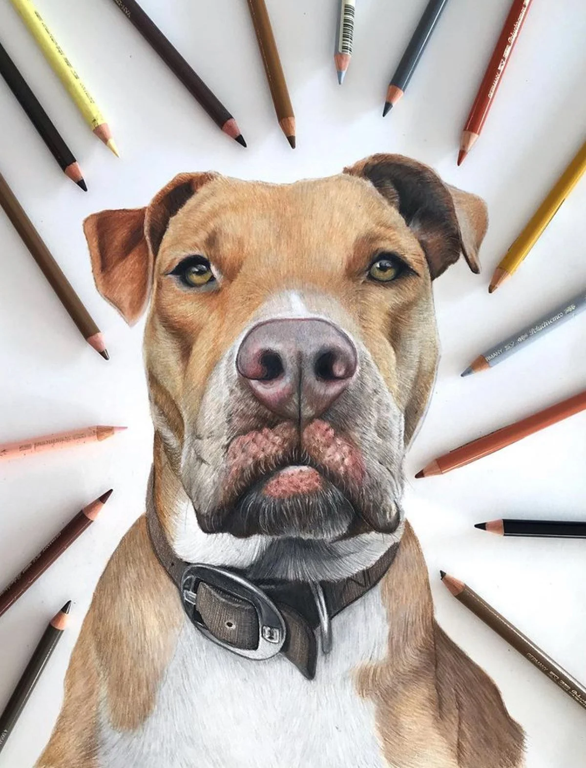 dog drawing 1.jpg