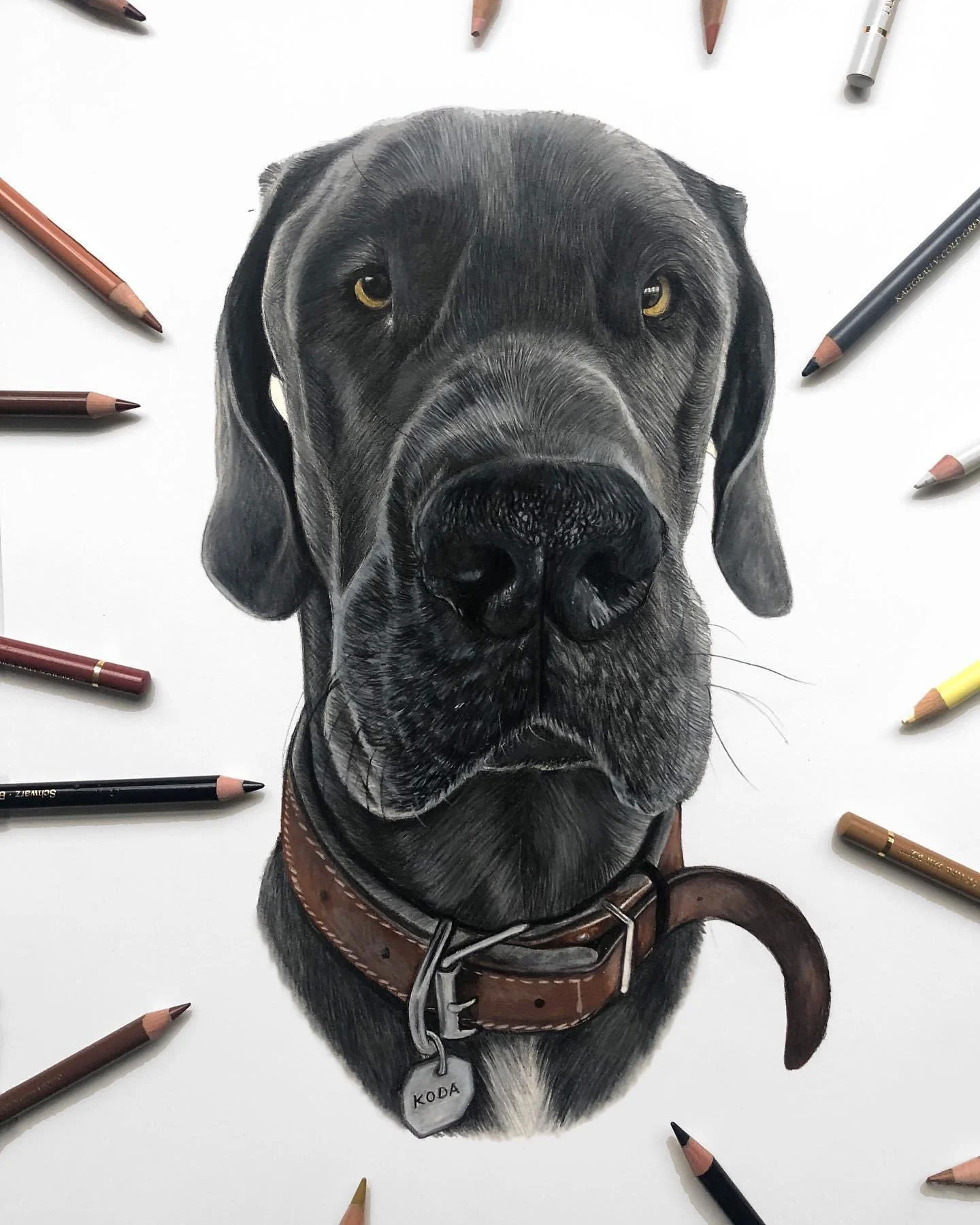 dog drawing 2.jpg