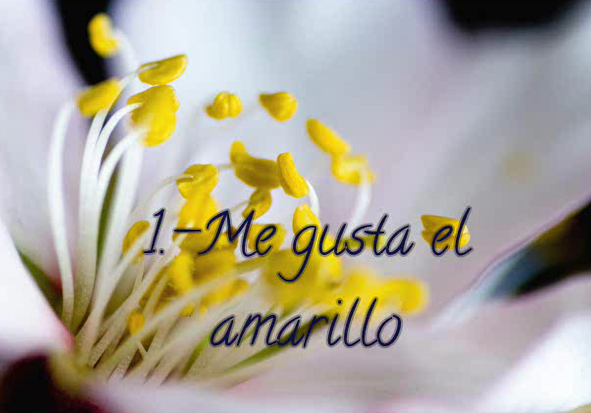 25 cosas sobre mi