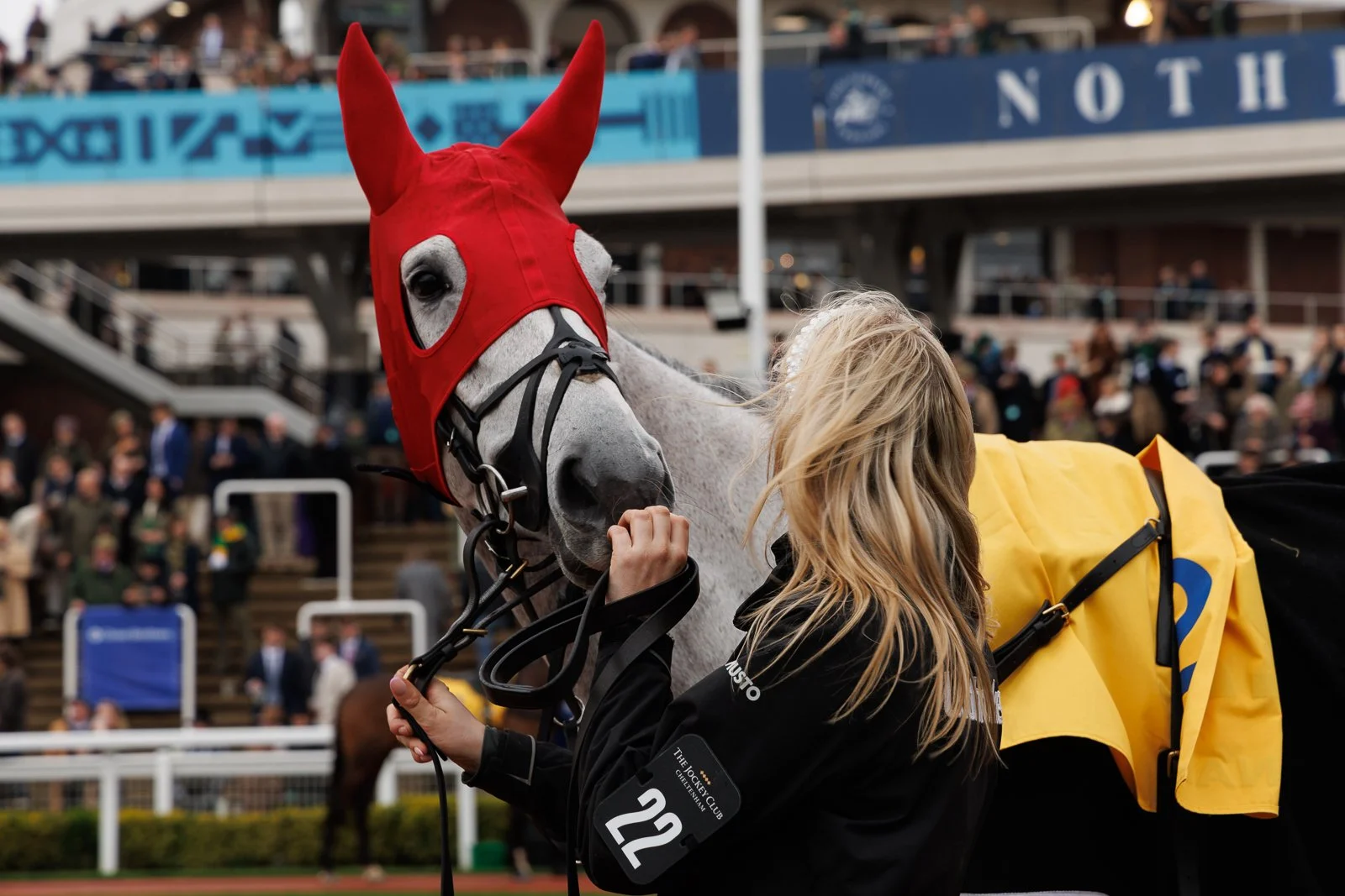 horse racing 