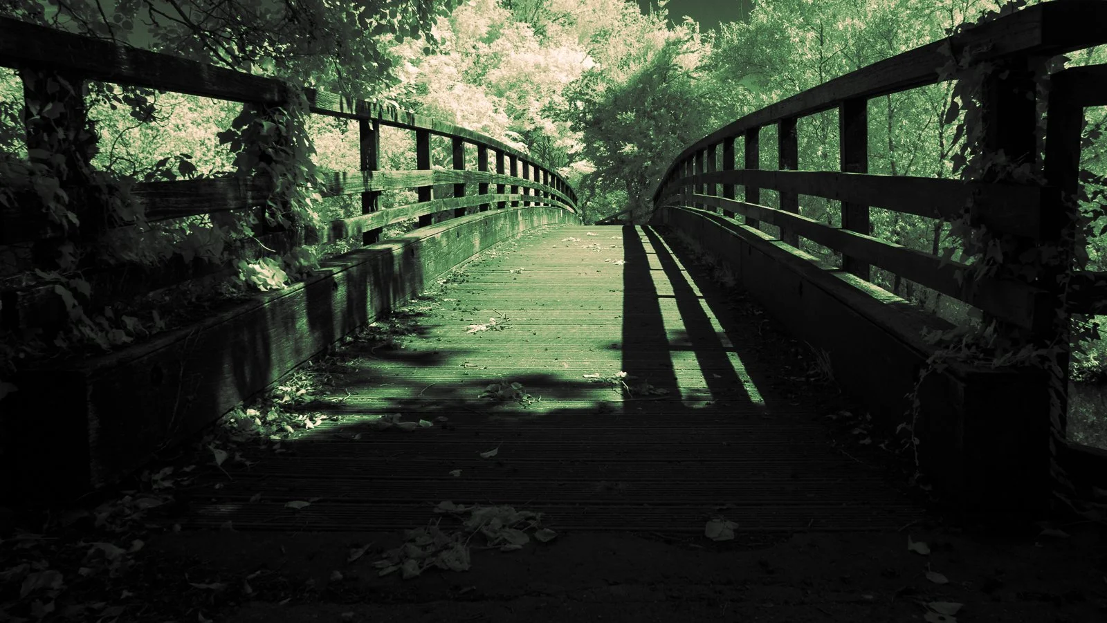 untitled-2.jpg