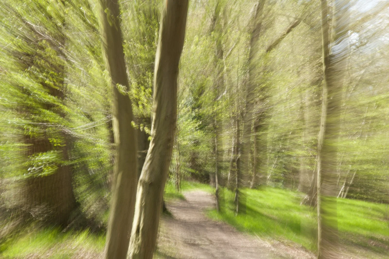trees