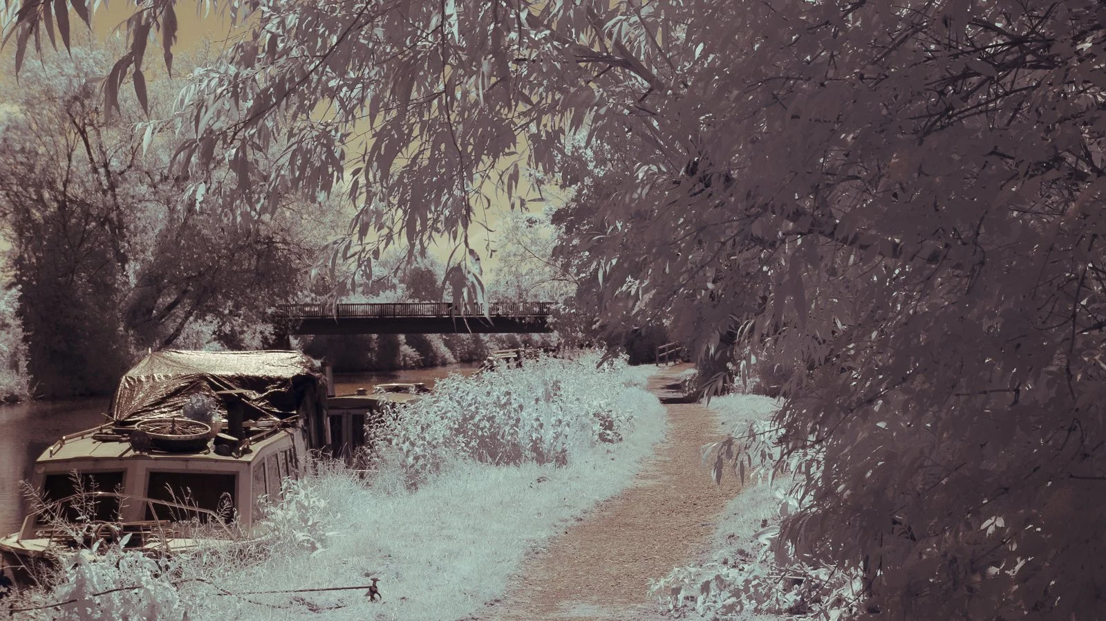 untitled-4.jpg