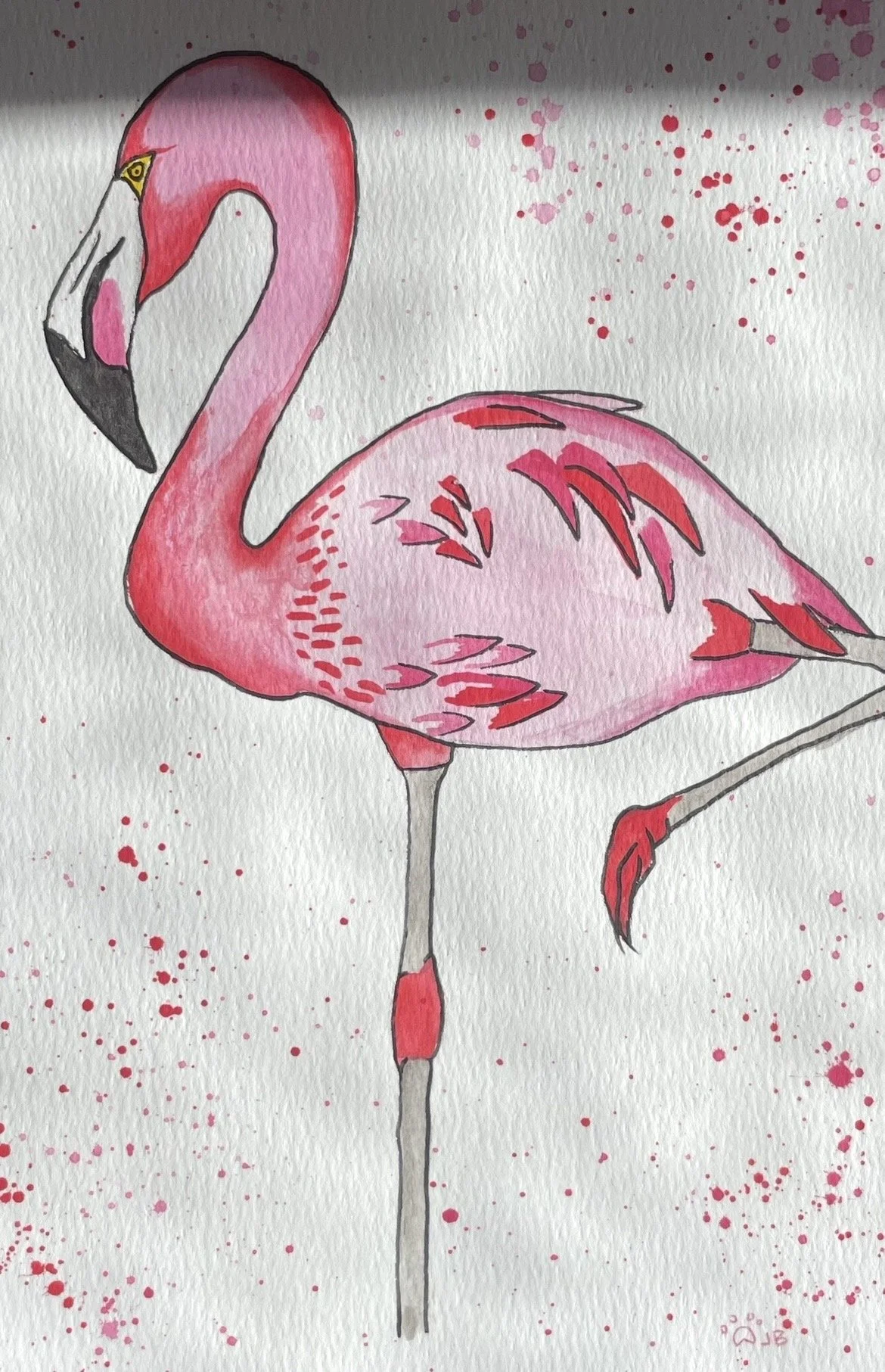 flamingo
