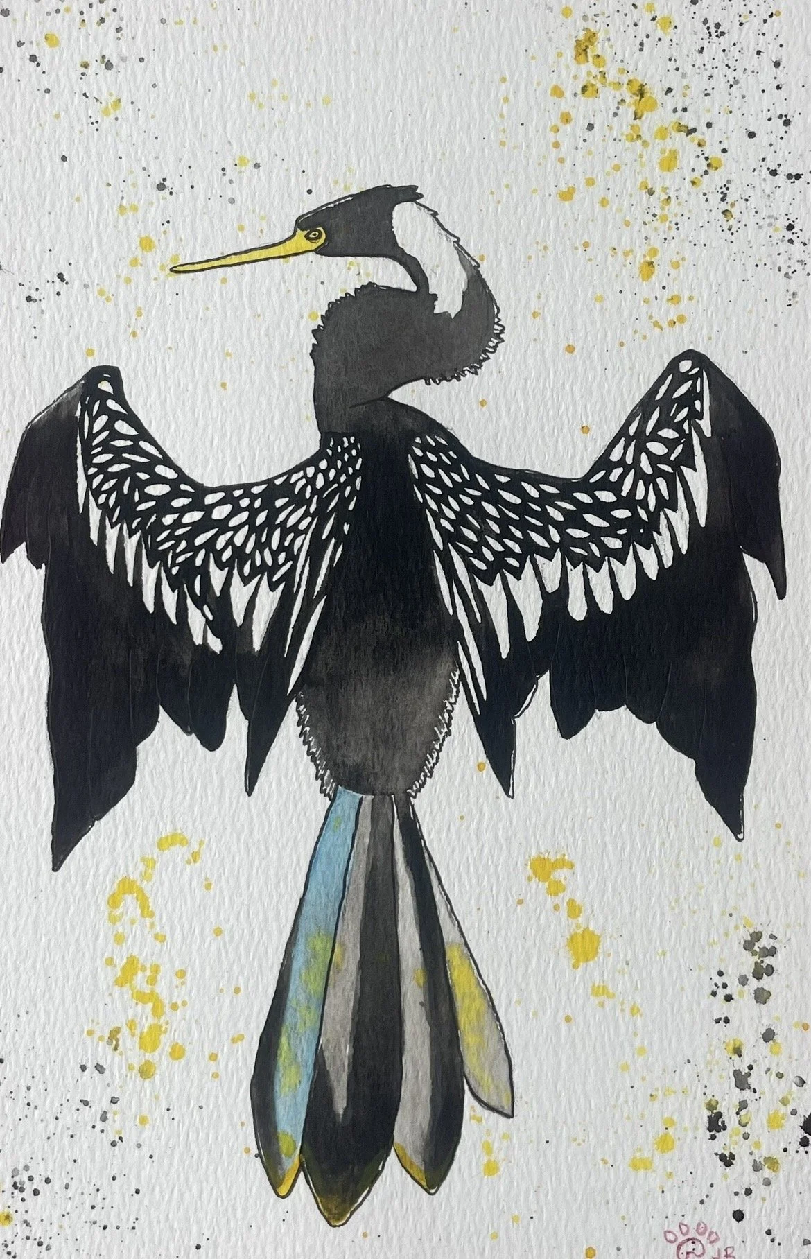 Jessica Braybrook, `anhinga`, march 2026, A4, watercolour on paper 
