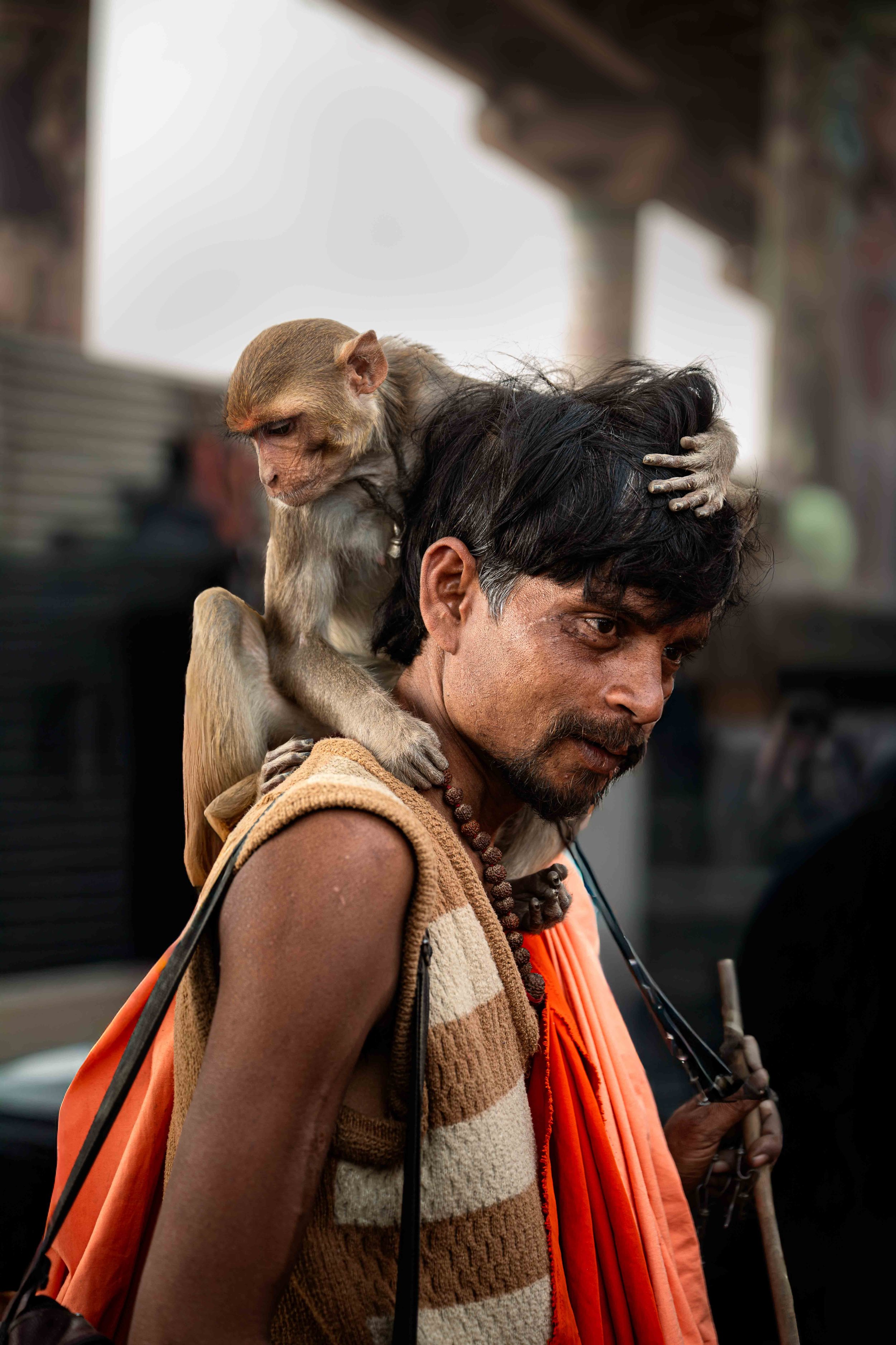 Maha Kumbh - Monkey on your head